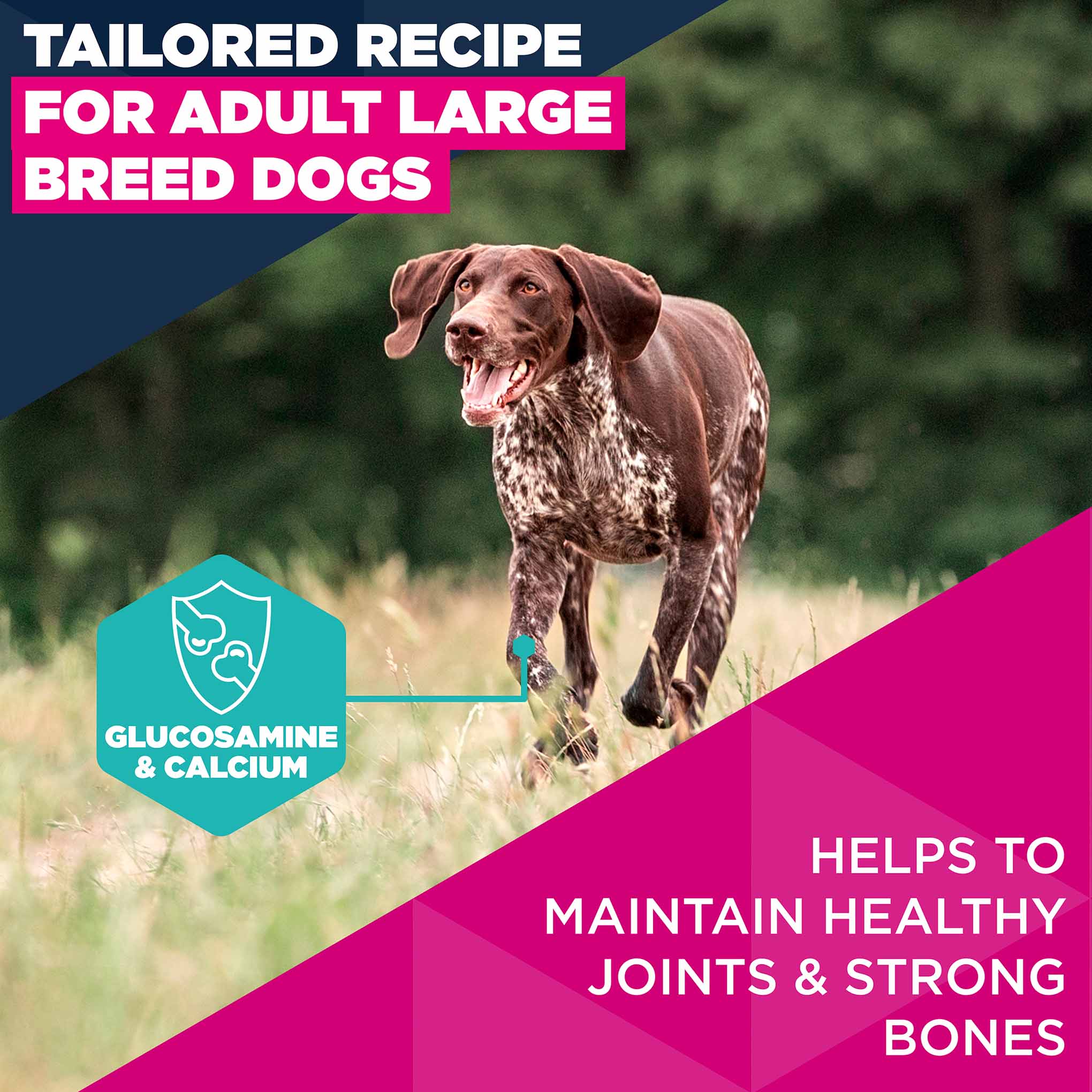 Eukanuba Large Breed Adult Dry Dog Food - Salmon & Barley - Image 4