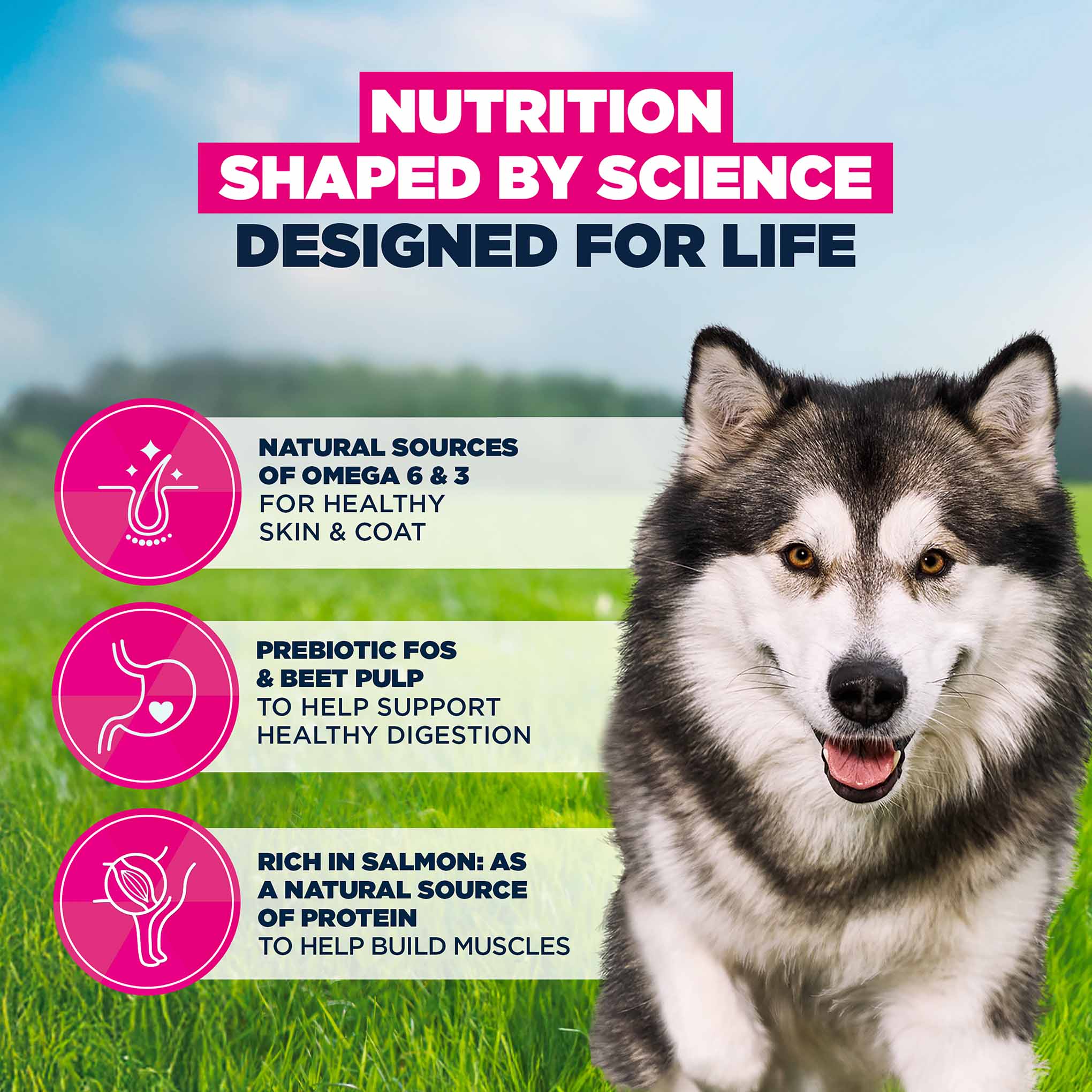 Eukanuba Large Breed Adult Dry Dog Food - Salmon & Barley - Image 5