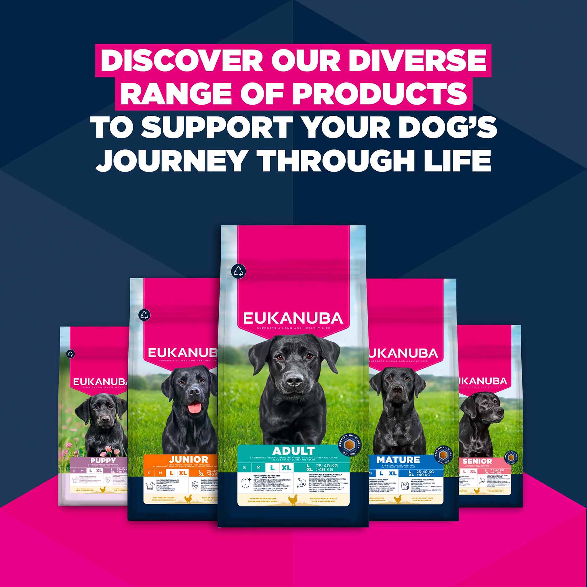 Eukanuba Large Breed Junior Dry Dog Food - Chicken - Image 11