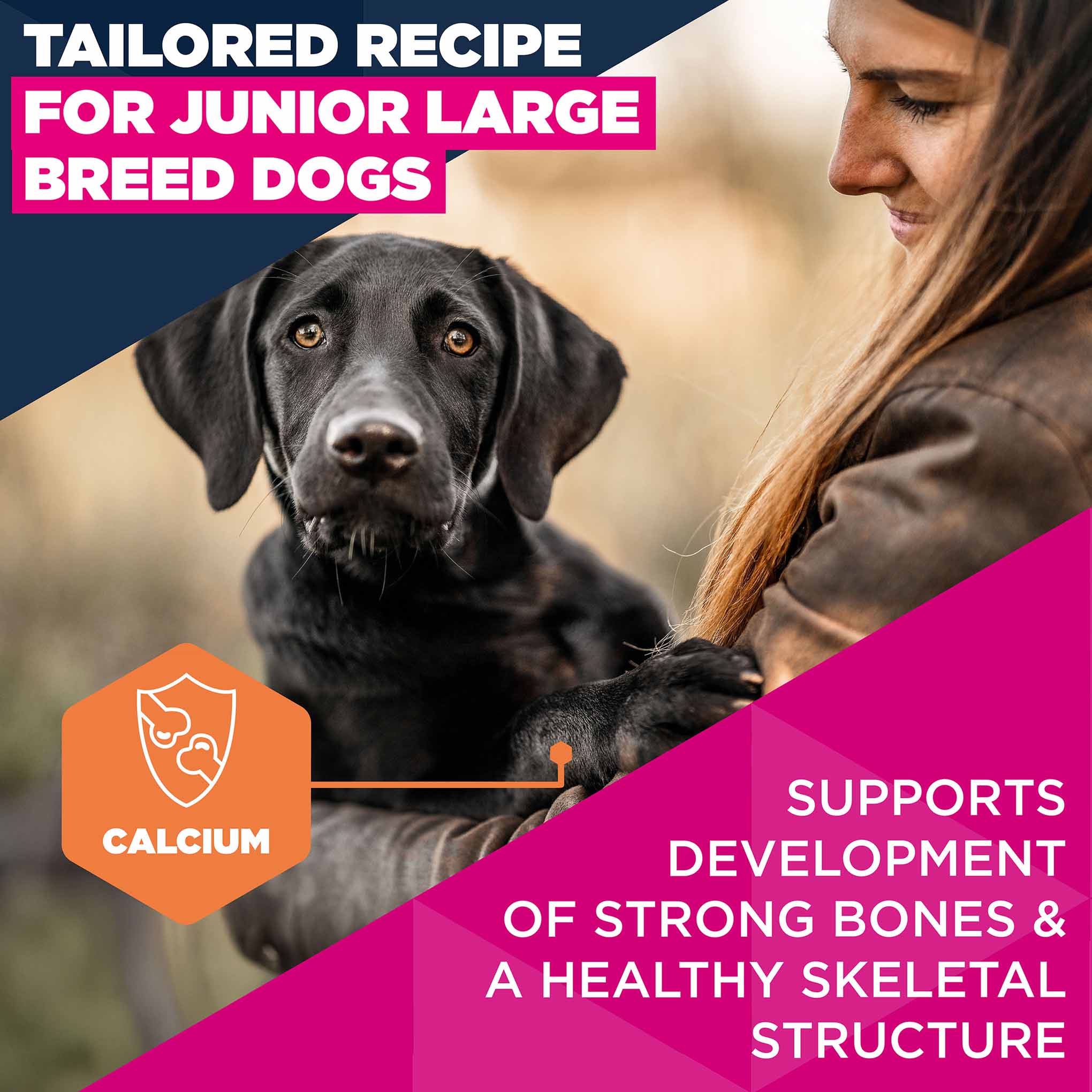 Eukanuba Large Breed Junior Dry Dog Food - Chicken - Image 4