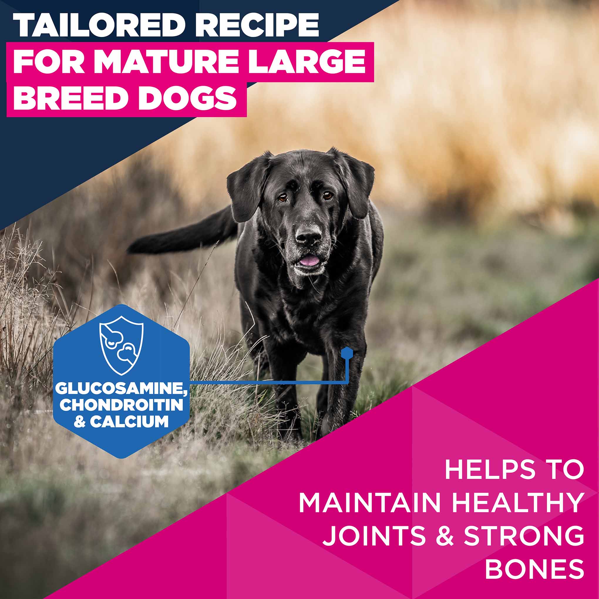 Eukanuba Large Breed Mature Dog Food - Chicken - Image 4