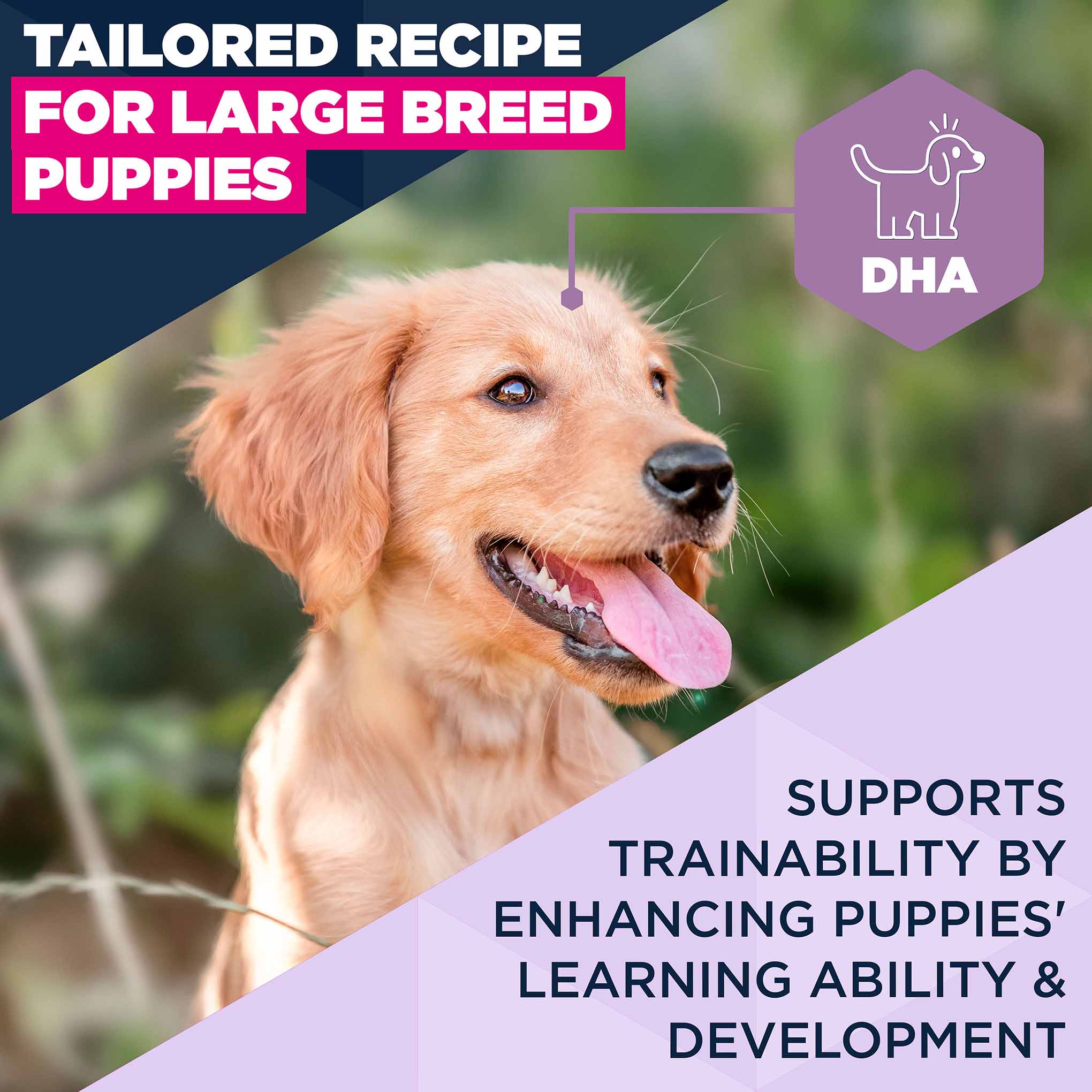 Eukanuba Large Breed Puppy Dry Dog Food - Lamb & Rice - Image 4