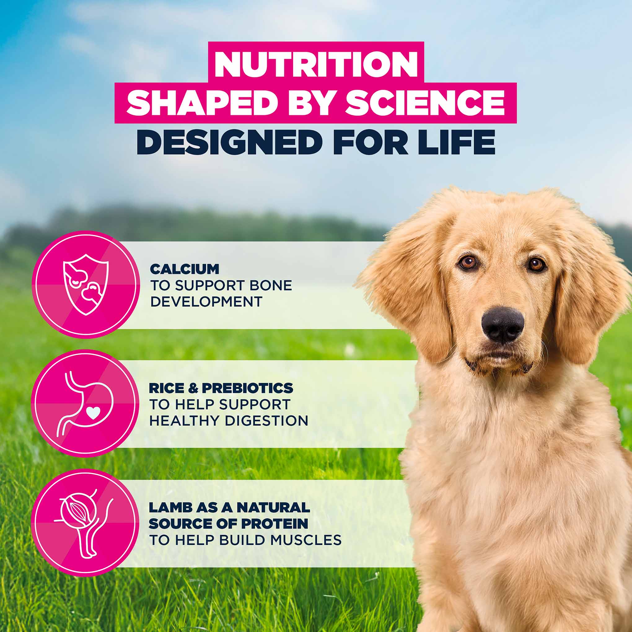 Eukanuba Large Breed Puppy Dry Dog Food - Lamb & Rice - Image 5