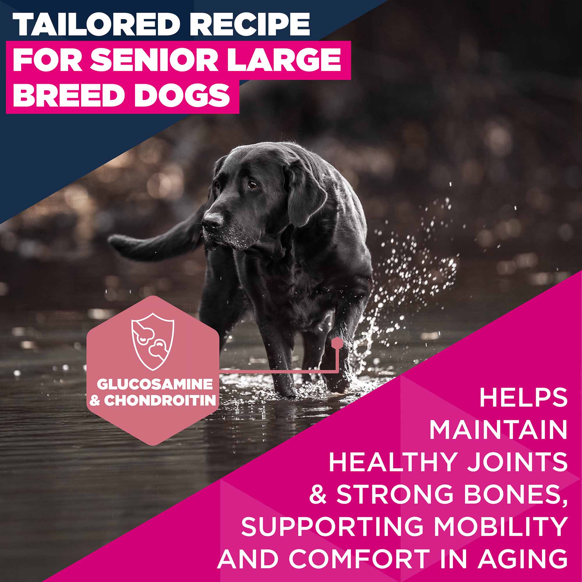 Eukanuba Large Breed Senior Dry Dog Food - Chicken - Image 4
