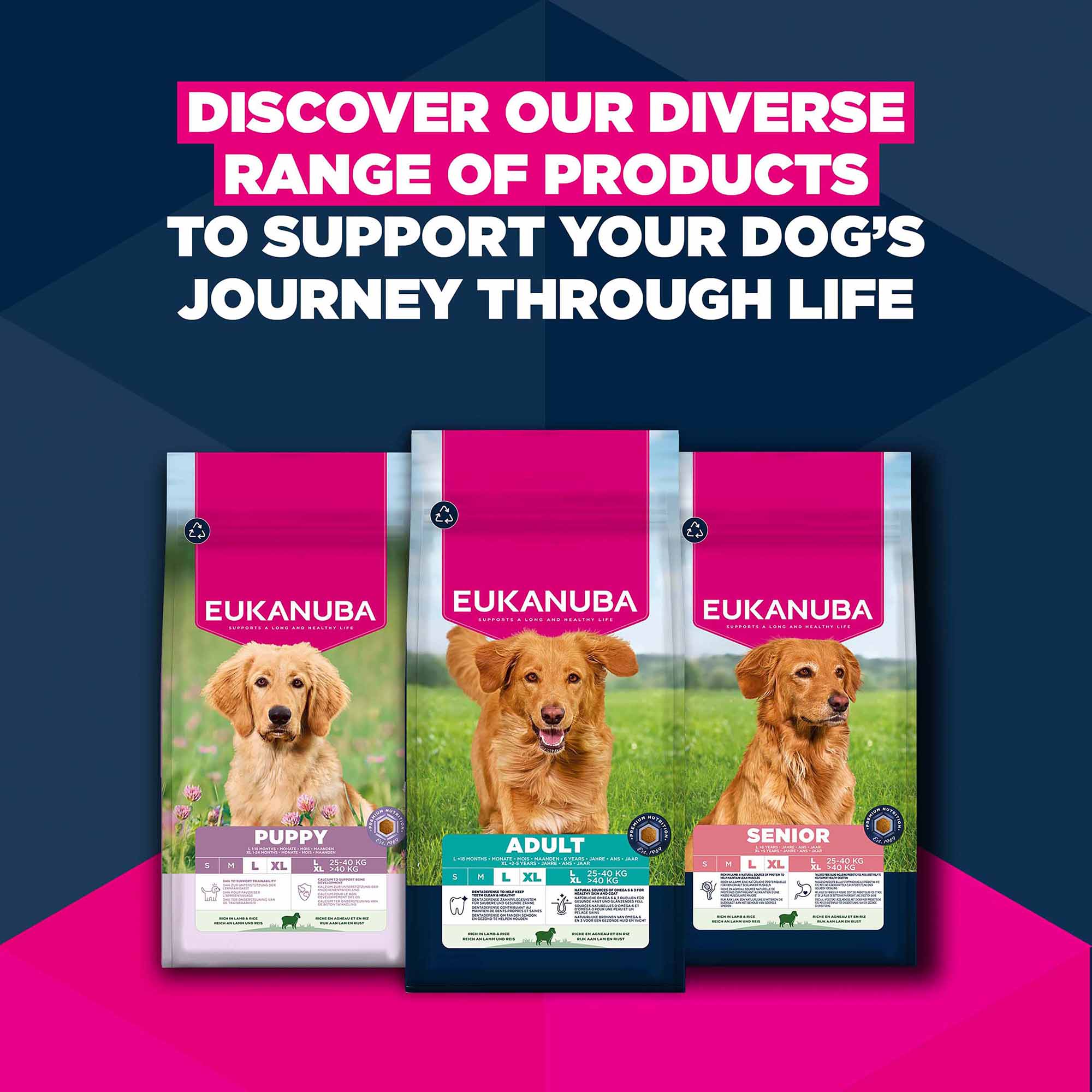 Eukanuba Large Breed Senior Dry Dog Food - Lamb & Rice - Image 11
