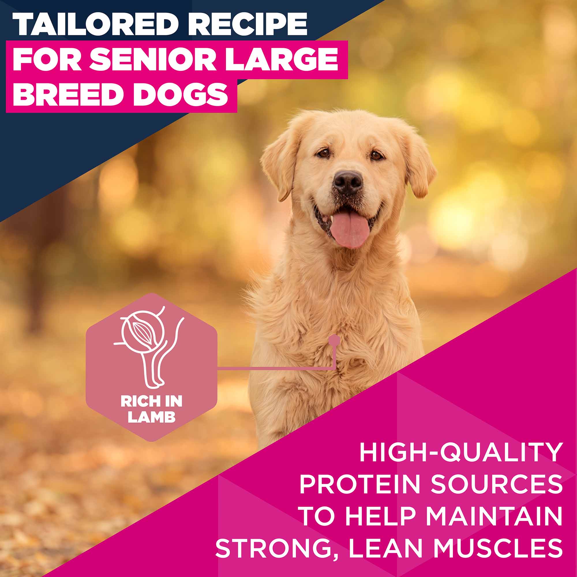 Eukanuba Large Breed Senior Dry Dog Food - Lamb & Rice - Image 4