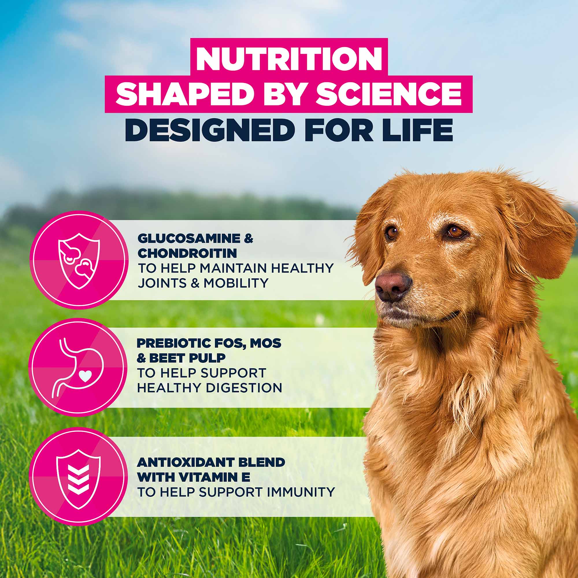 Eukanuba Large Breed Senior Dry Dog Food - Lamb & Rice - Image 6
