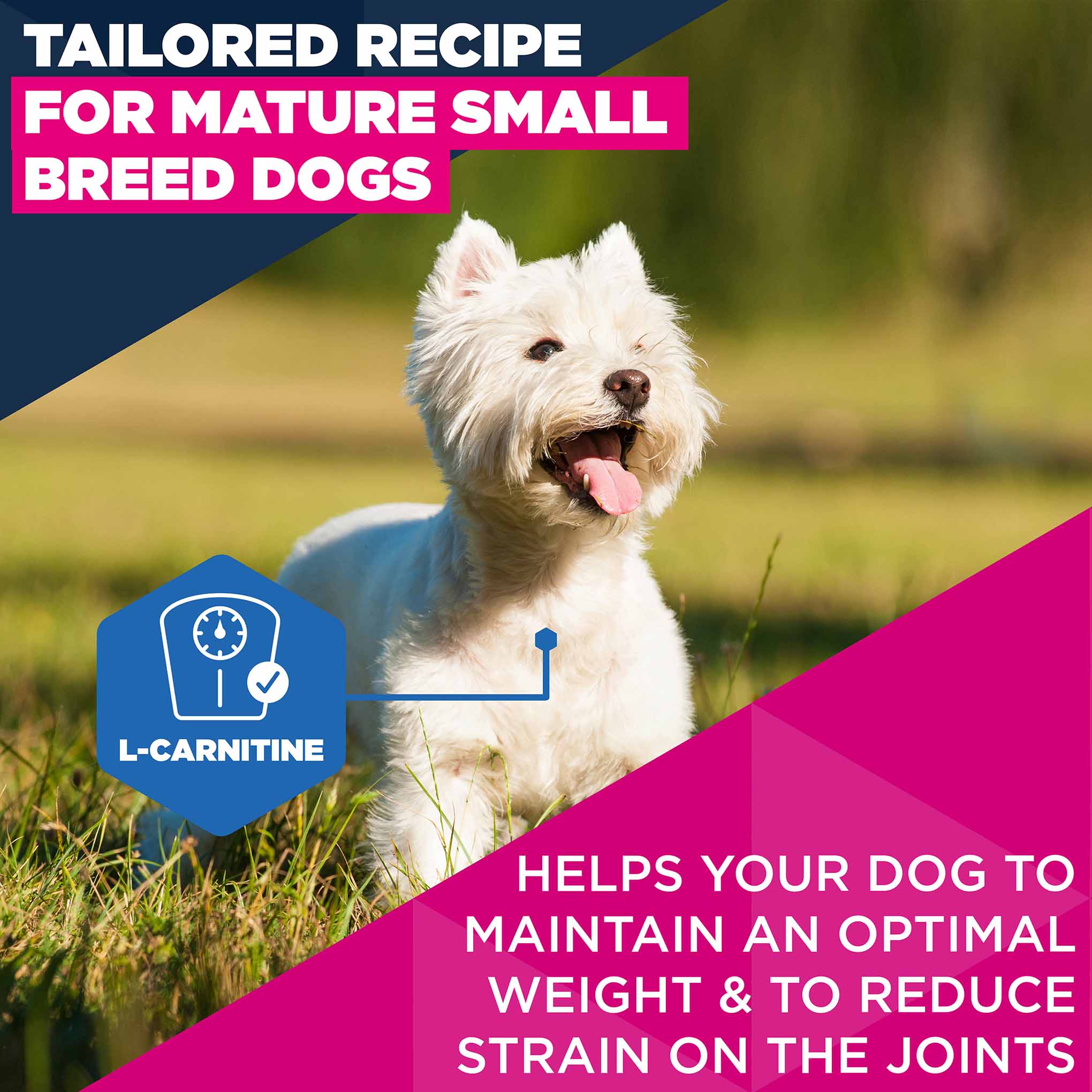 Eukanuba Life Care Mature Small Breed Dry Dog Food - Chicken - 7.5kg - Image 4