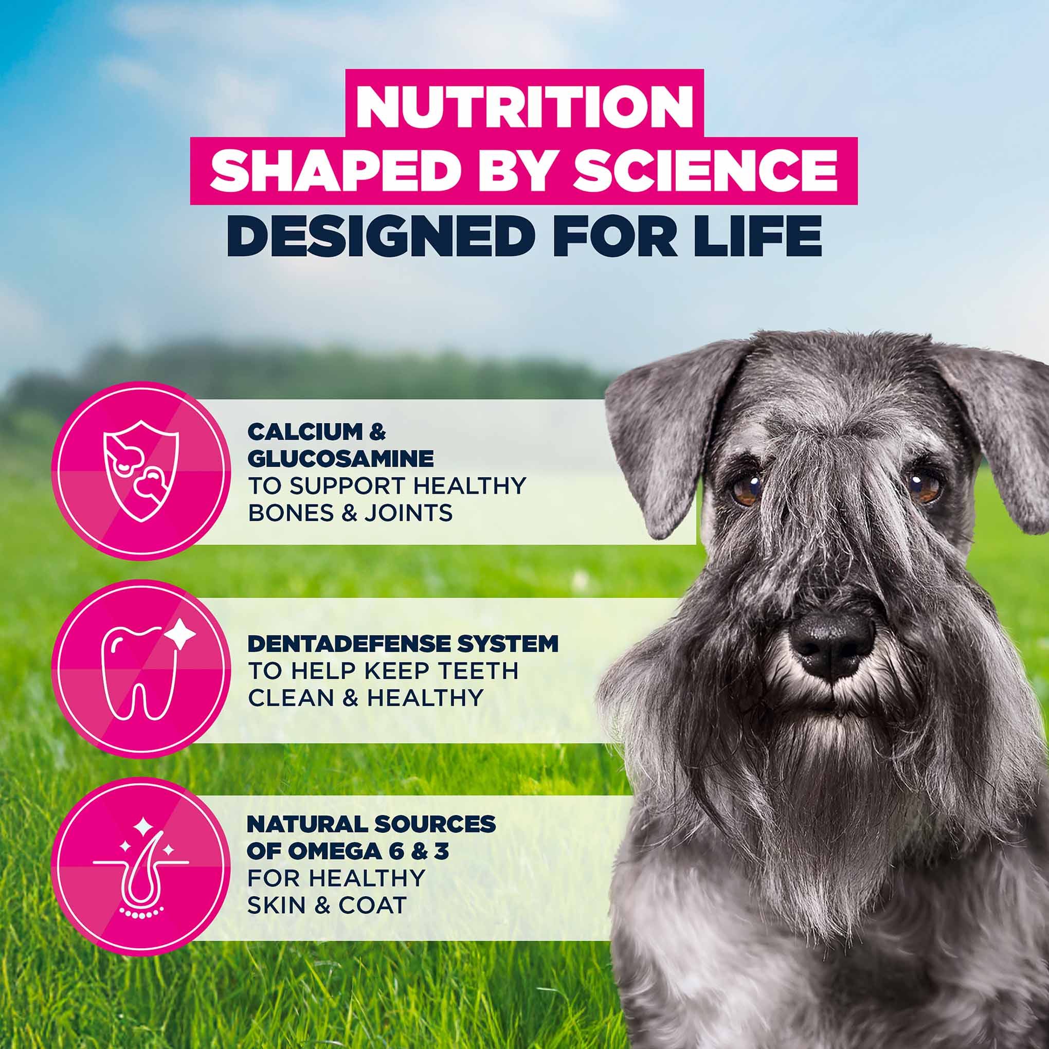 Eukanuba Life Care Mature Small Breed Dry Dog Food - Chicken - 7.5kg - Image 5