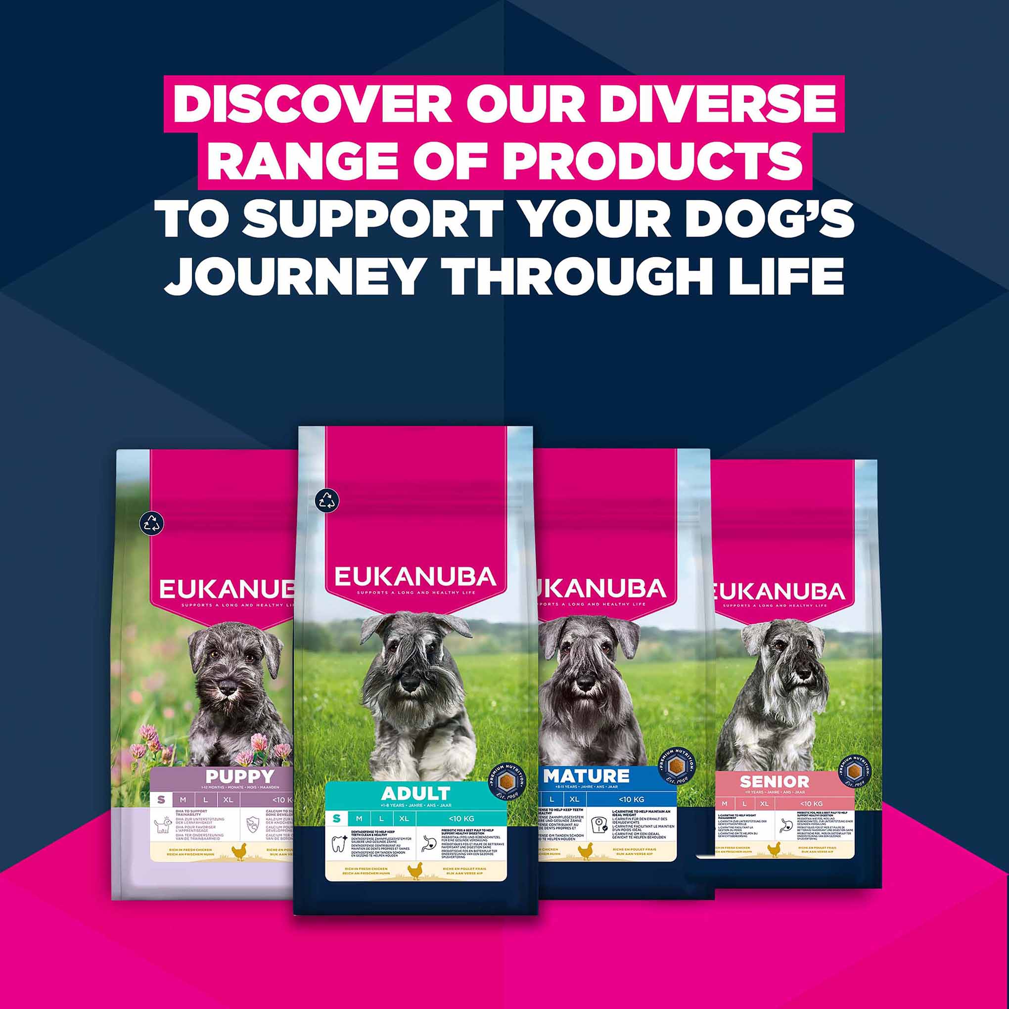 Eukanuba Life Care Puppy Small Breed Dry Dog Food - Chicken - 7.5kg - Image 10