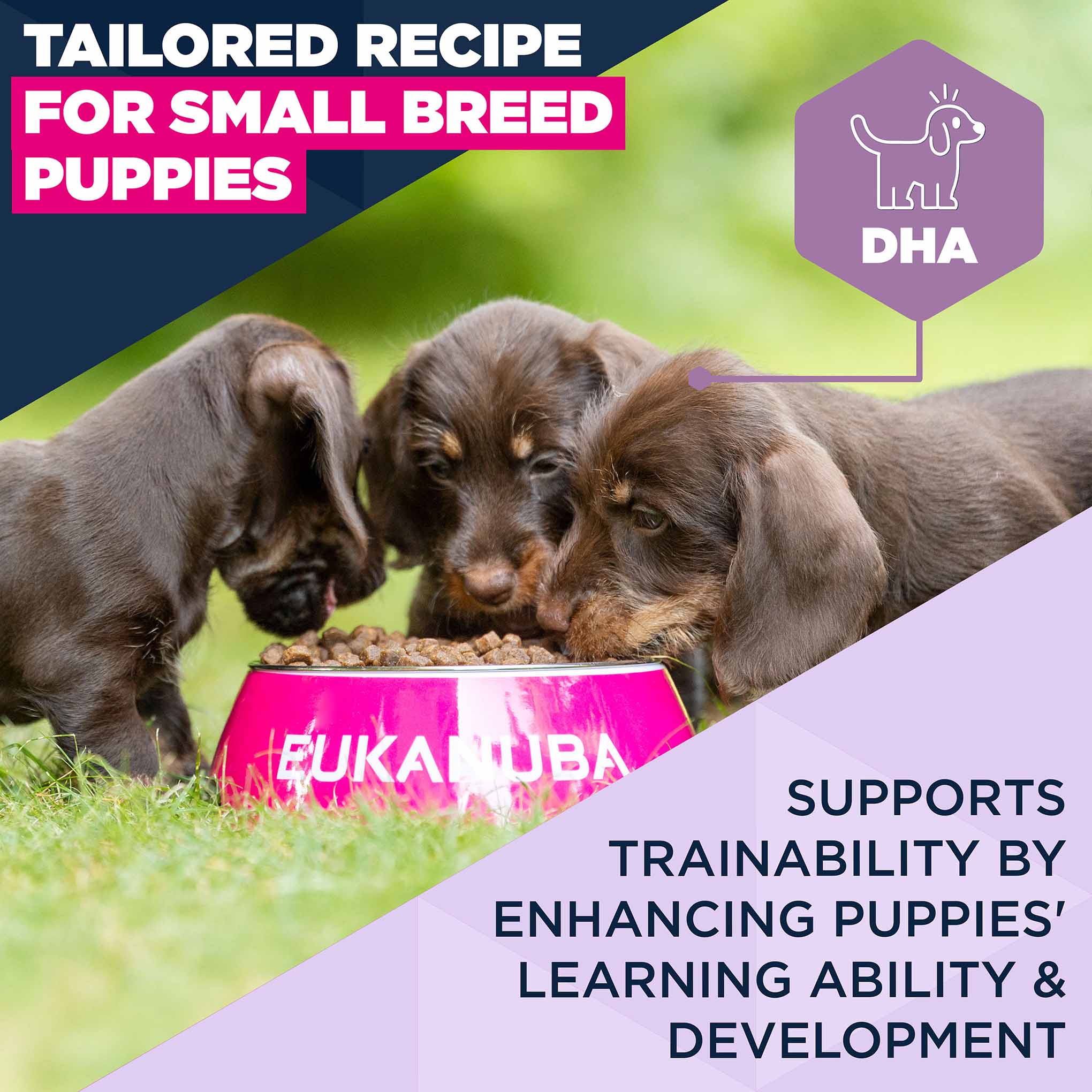 Eukanuba Life Care Puppy Small Breed Dry Dog Food - Chicken - 7.5kg - Image 4