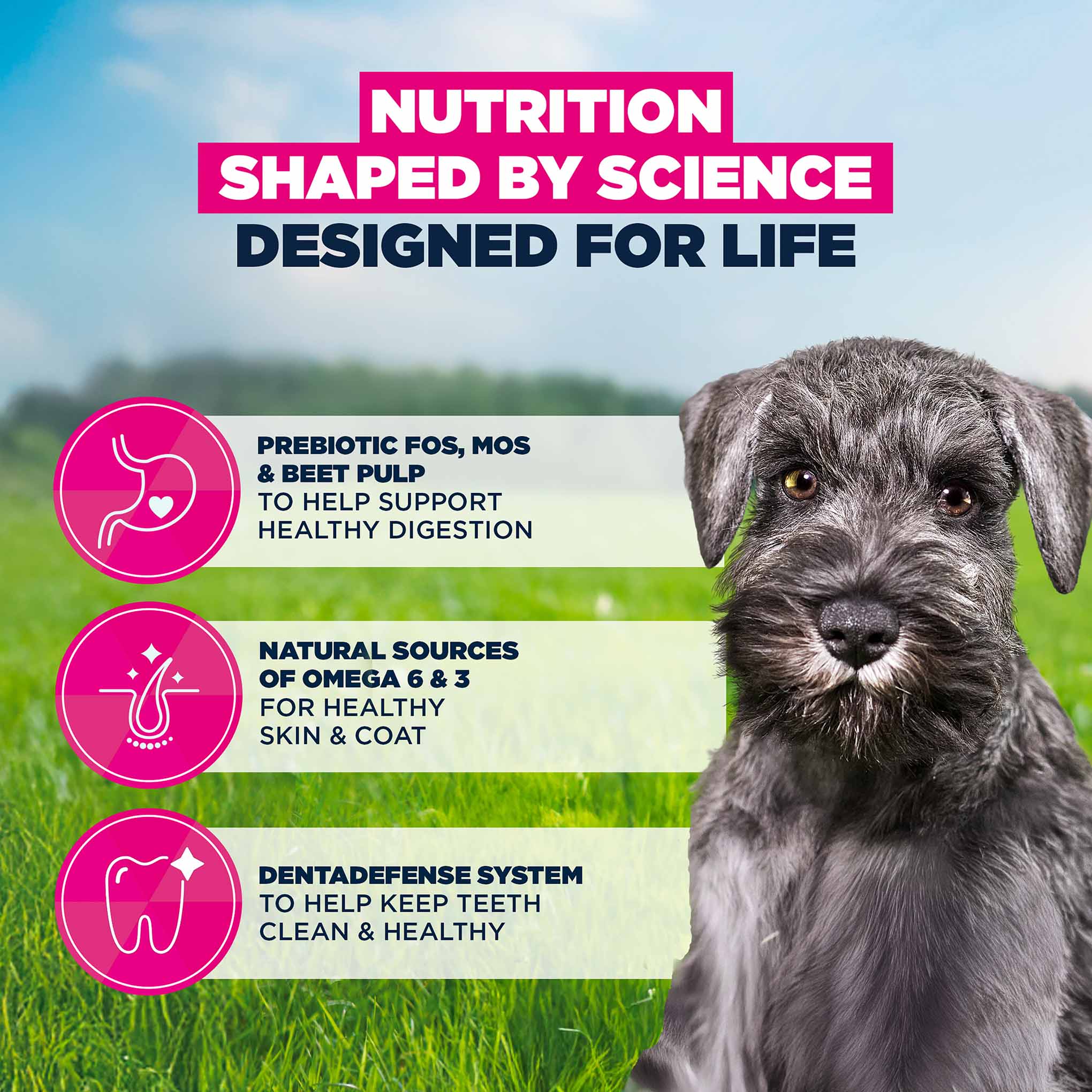 Eukanuba Life Care Puppy Small Breed Dry Dog Food - Chicken - 7.5kg - Image 5