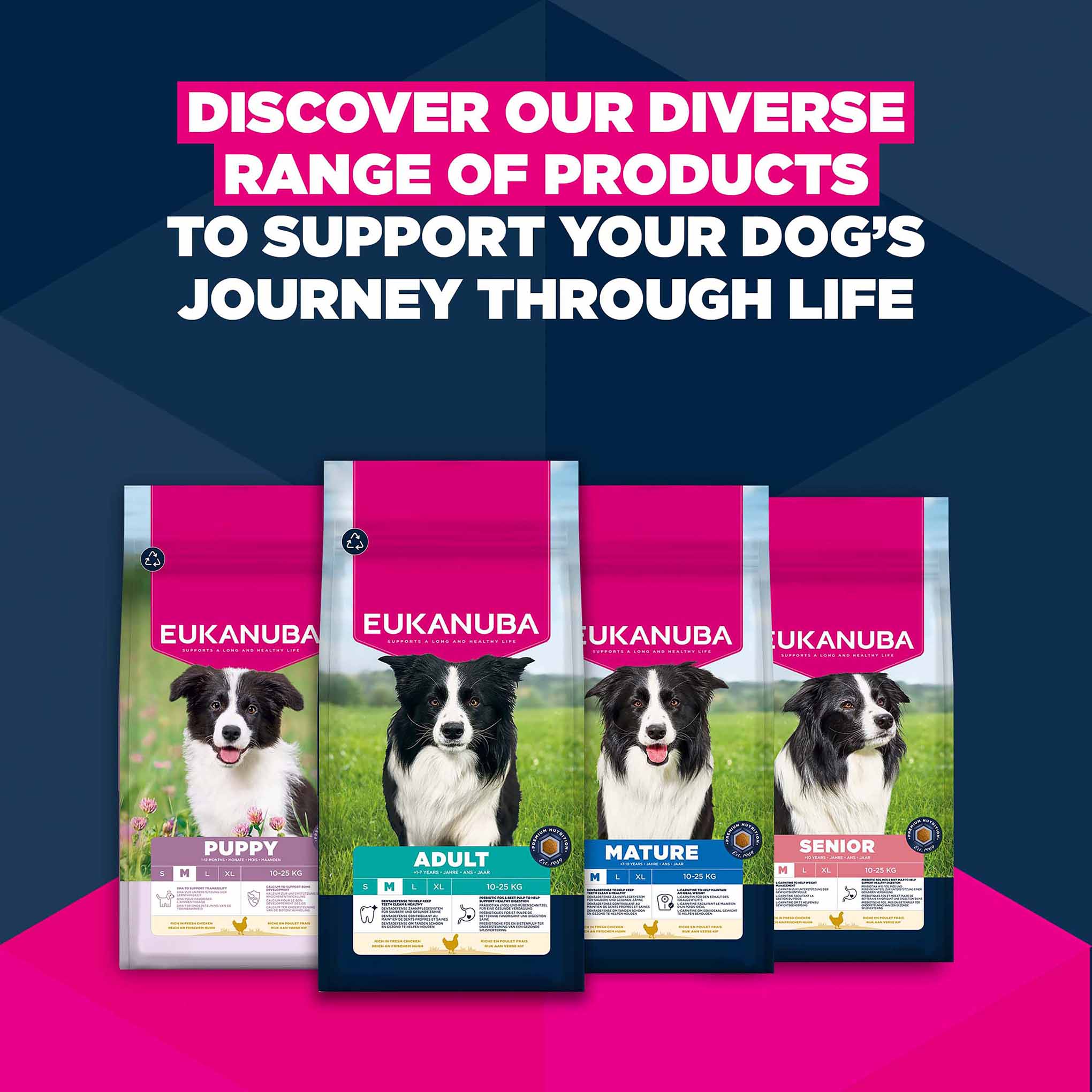 Eukanuba Medium Breed Mature Dog Food - Chicken - Image 11
