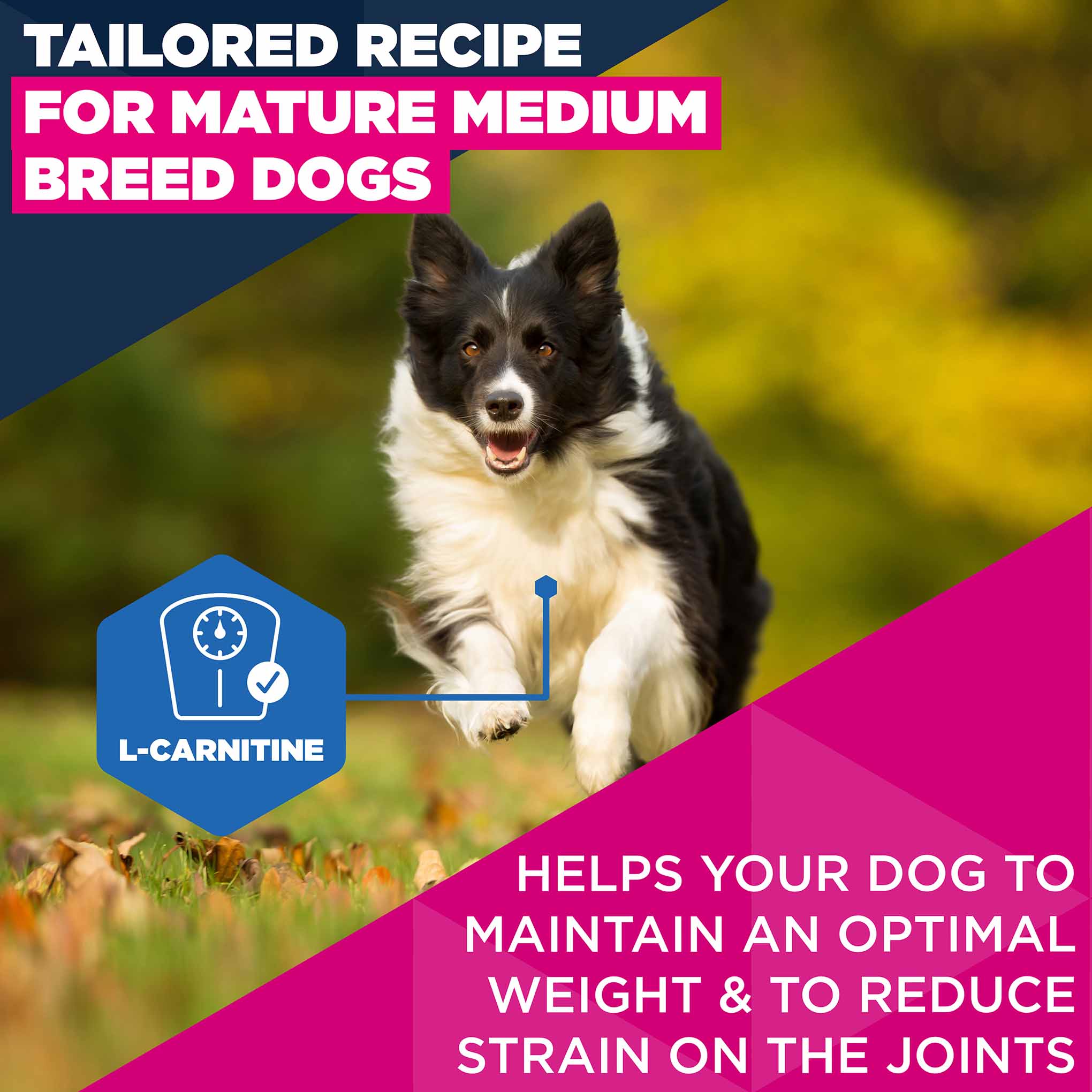 Eukanuba Medium Breed Mature Dog Food - Chicken - Image 4