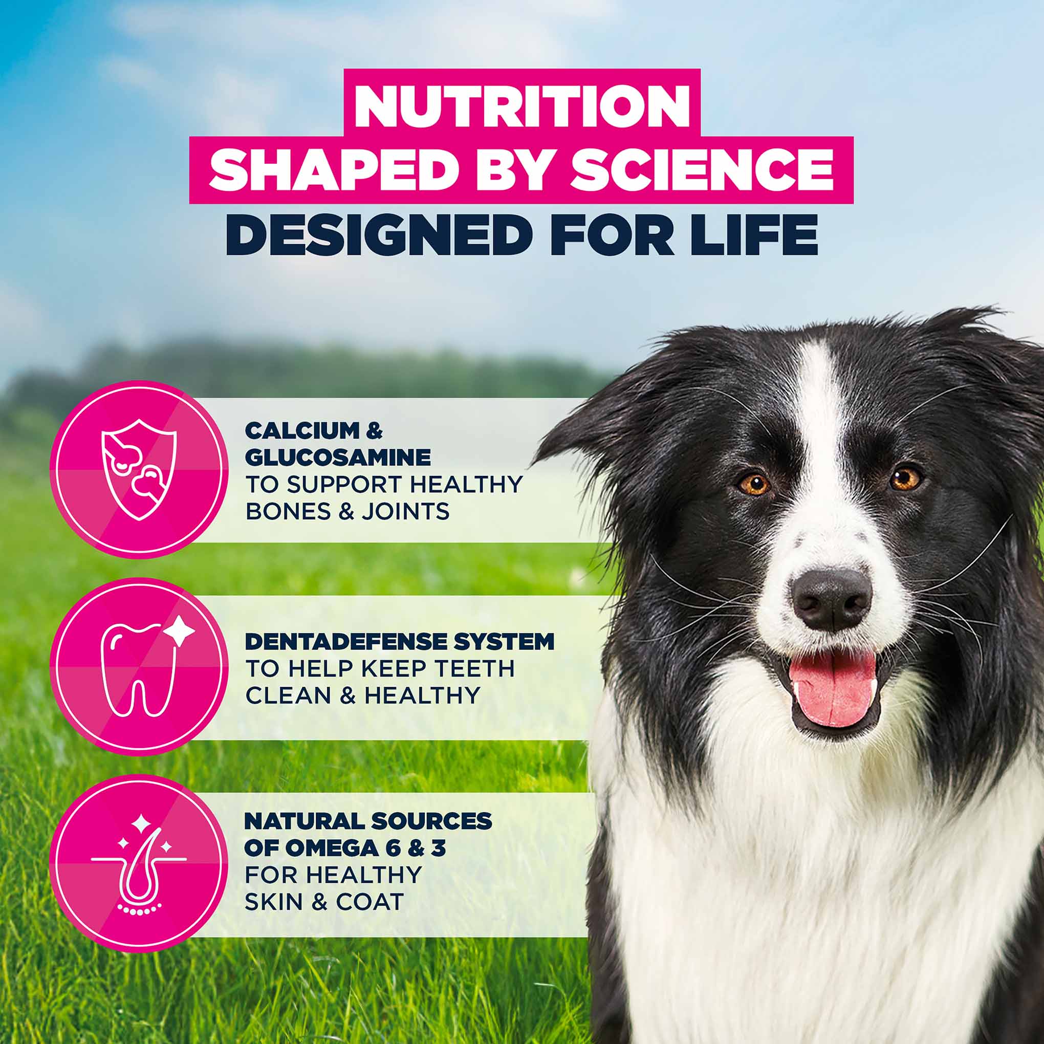 Eukanuba Medium Breed Mature Dog Food - Chicken - Image 5