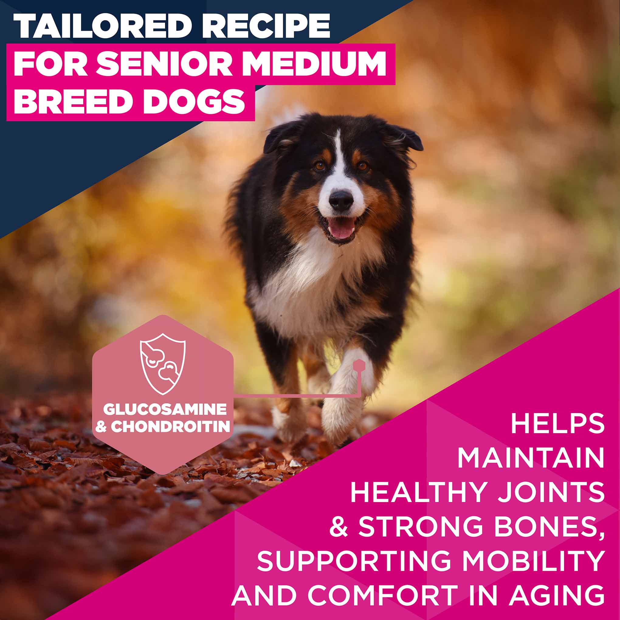 Eukanuba Medium Breed Senior Dry Dog Food - Chicken - Image 4