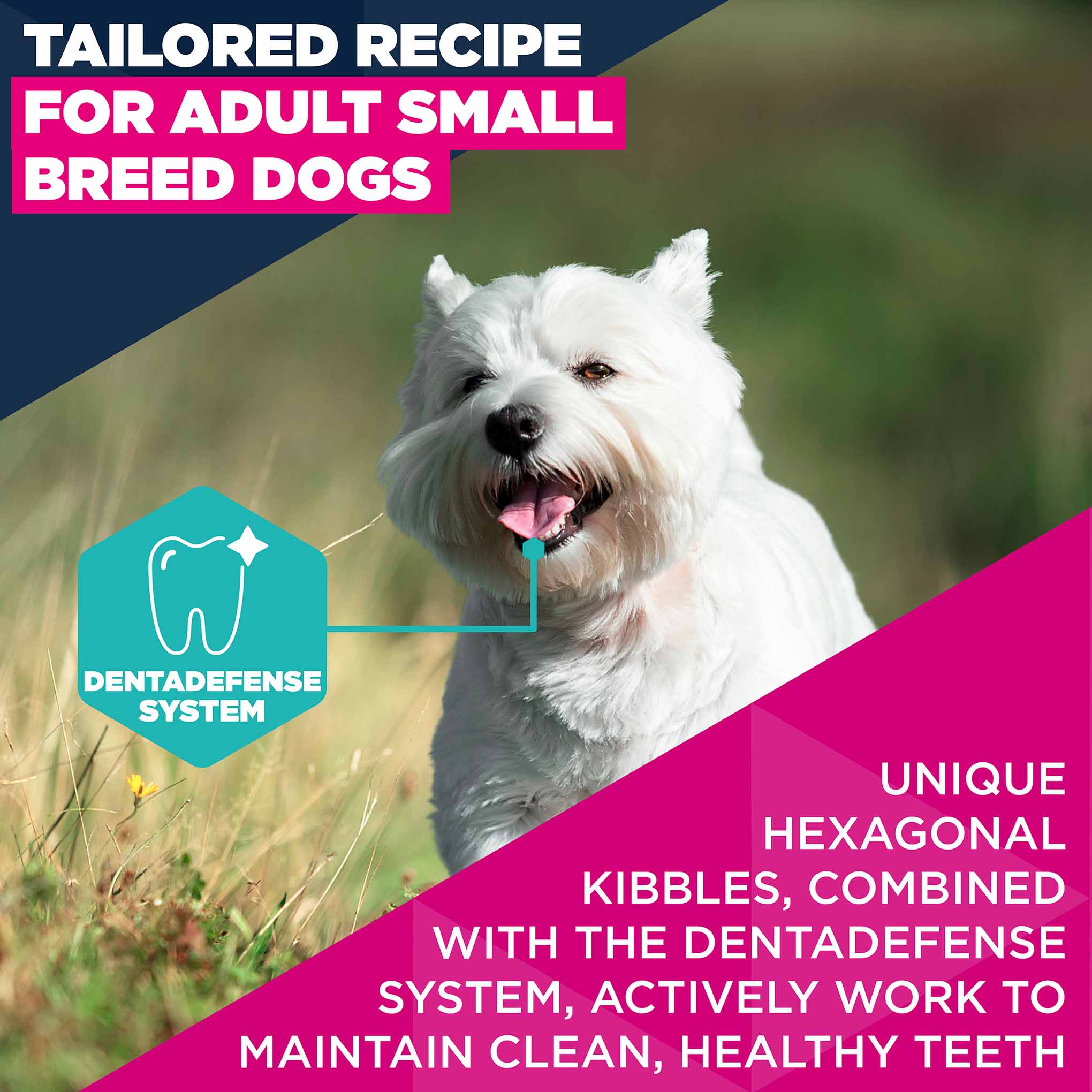 Eukanuba Small Breed Adult Dry Dog Food - Chicken - Image 6