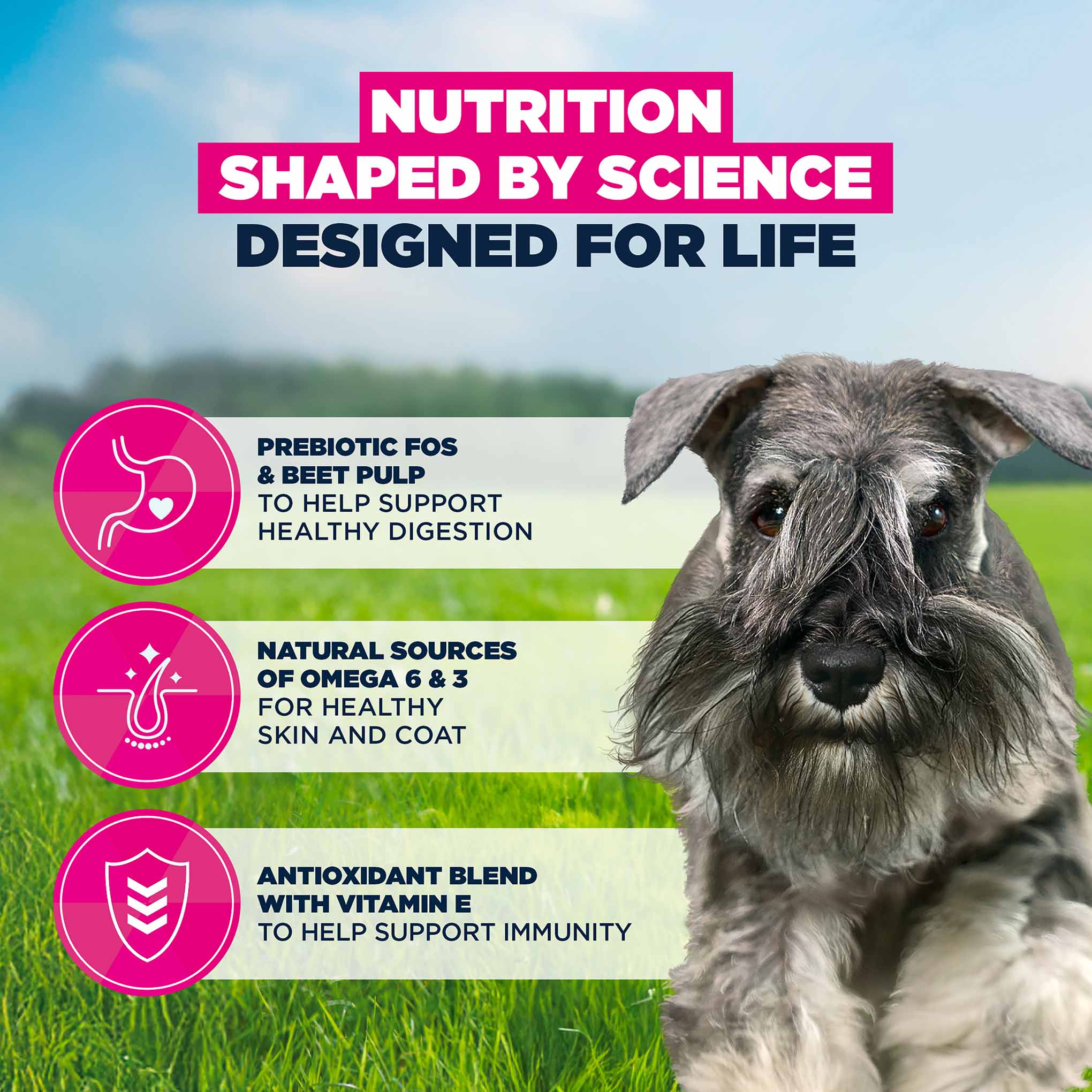 Eukanuba Small Breed Adult Dry Dog Food - Chicken - Image 7