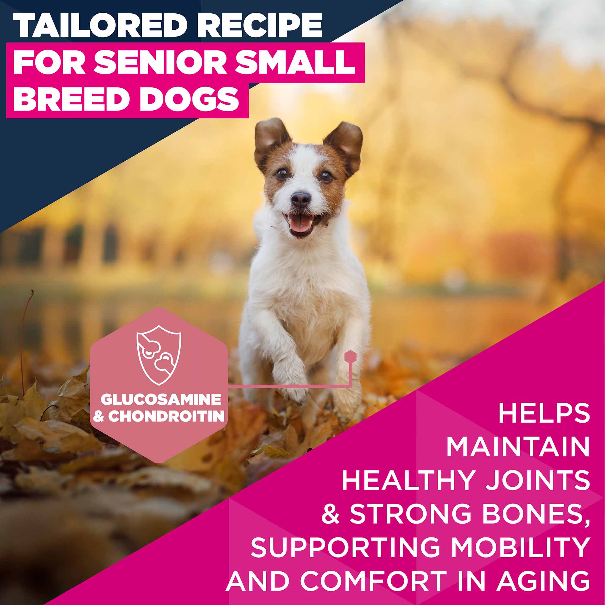 Eukanuba Small Breed Senior Dry Dog Food - Chicken - Image 6
