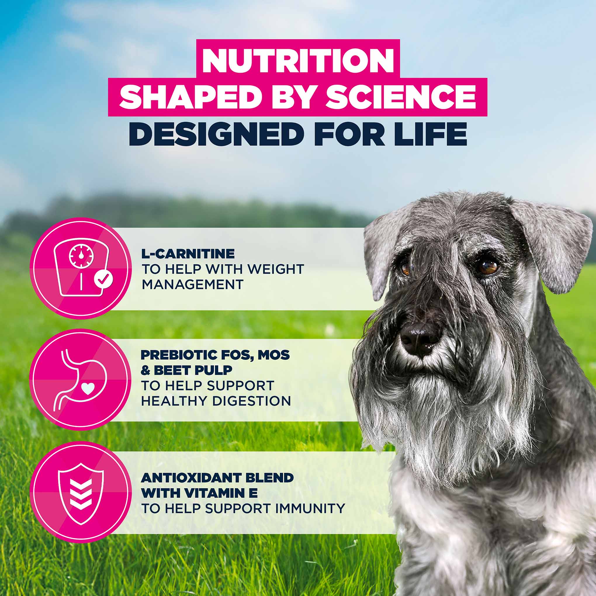 Eukanuba Small Breed Senior Dry Dog Food - Chicken - Image 7
