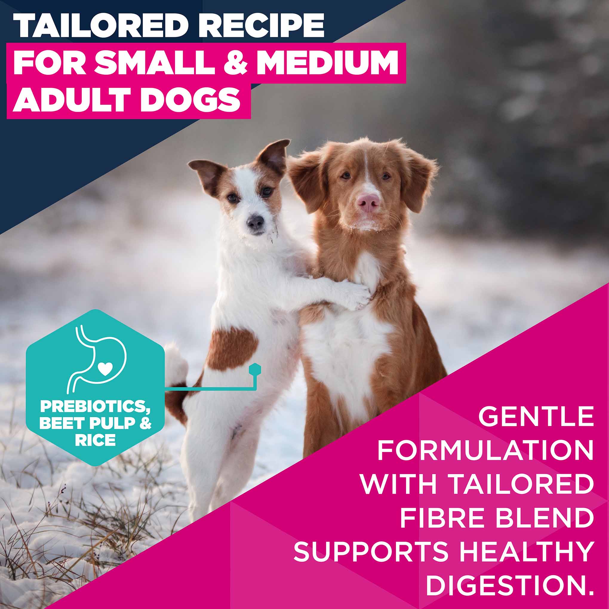Eukanuba Small/Medium Breed Adult Dry Dog Food - Lamb & Rice - Image 4