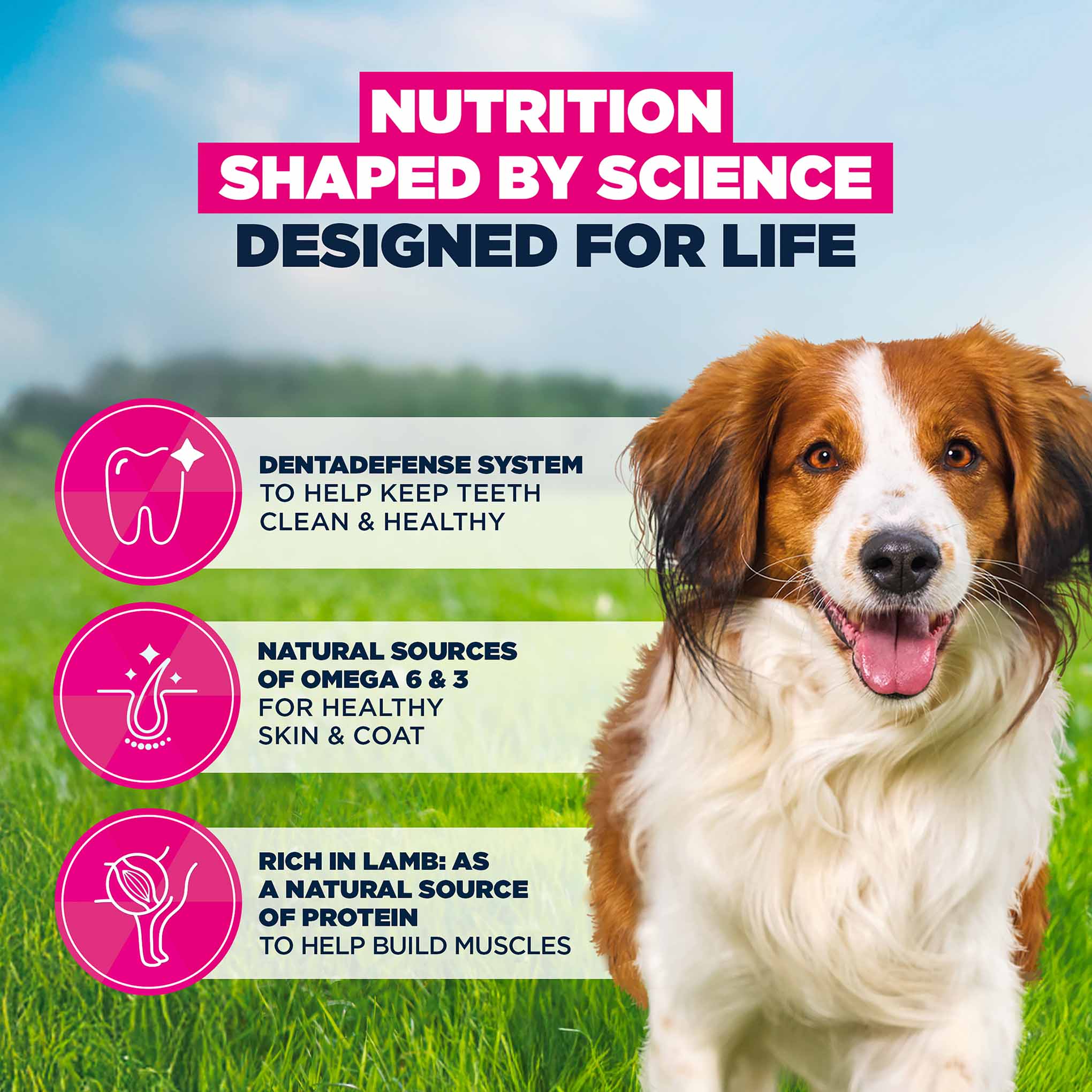 Eukanuba Small/Medium Breed Adult Dry Dog Food - Lamb & Rice - Image 5