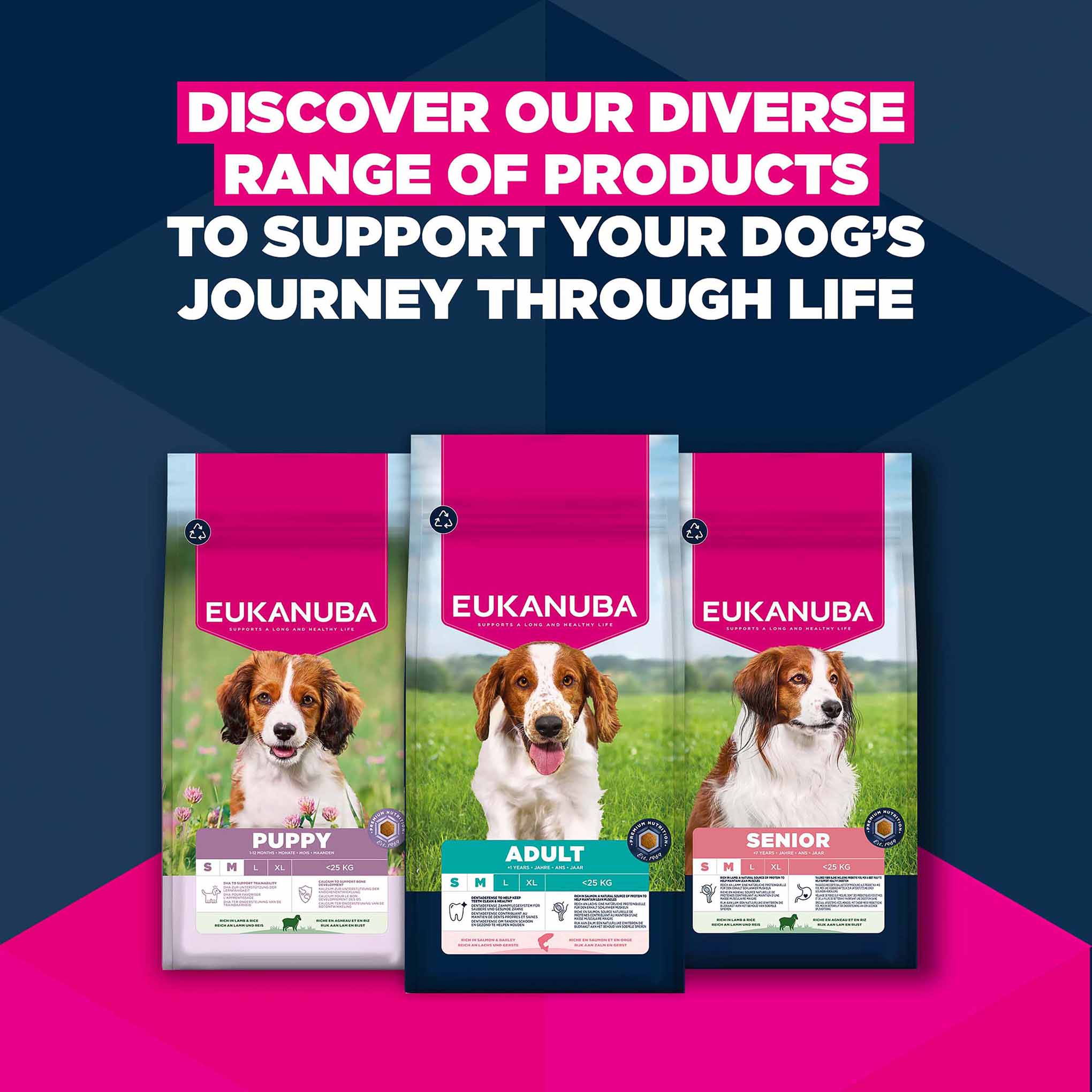 Eukanuba Small/Medium Breed Adult Dry Dog Food - Salmon & Barley - Image 11