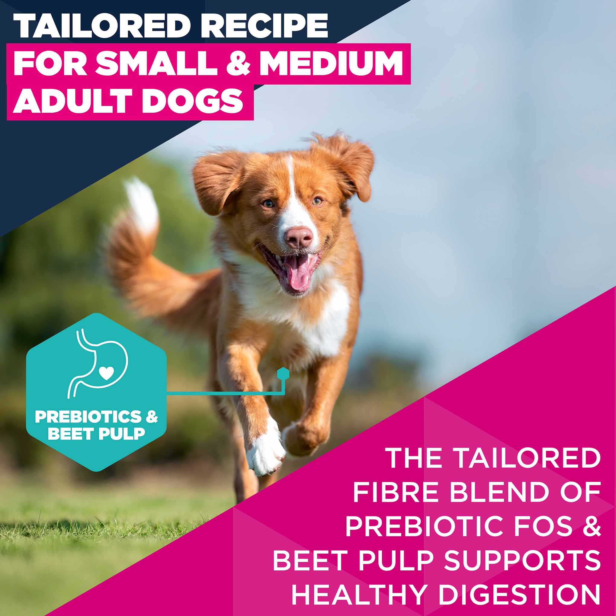 Eukanuba Small/Medium Breed Adult Dry Dog Food - Salmon & Barley - Image 4