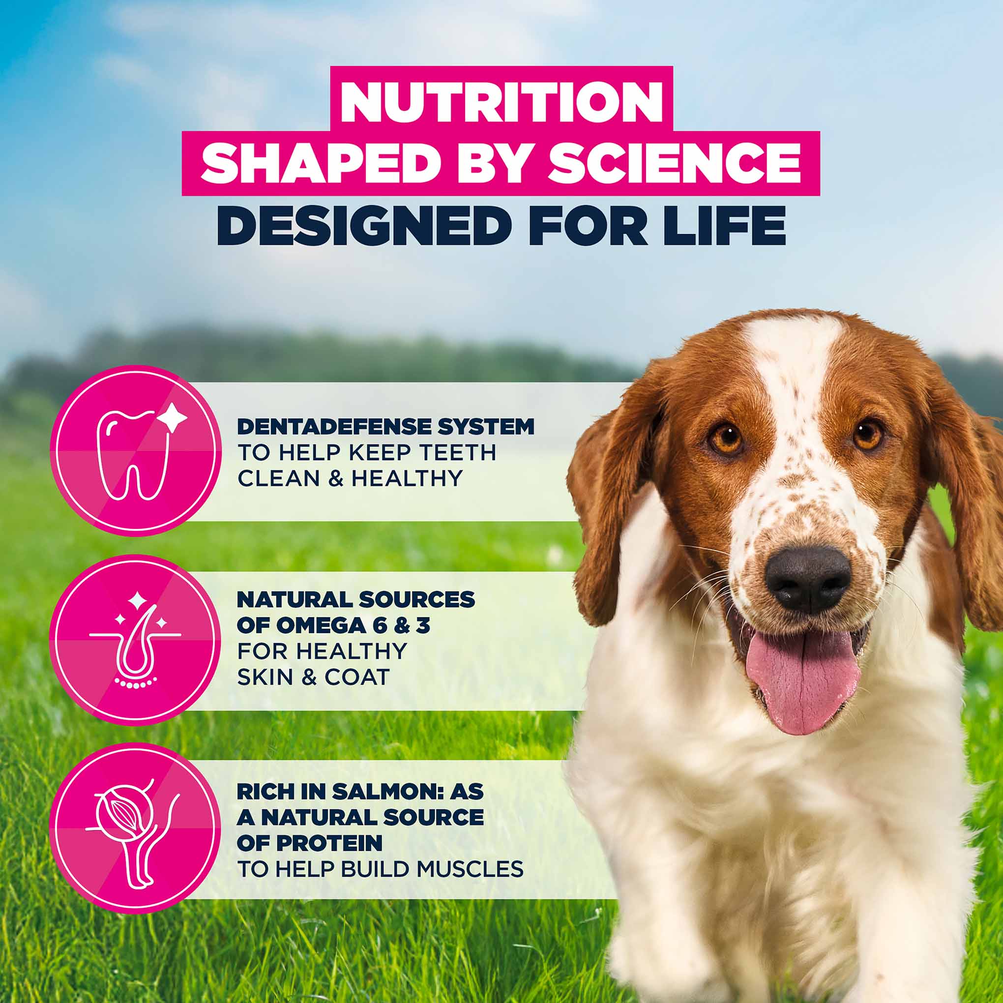 Eukanuba Small/Medium Breed Adult Dry Dog Food - Salmon & Barley - Image 5