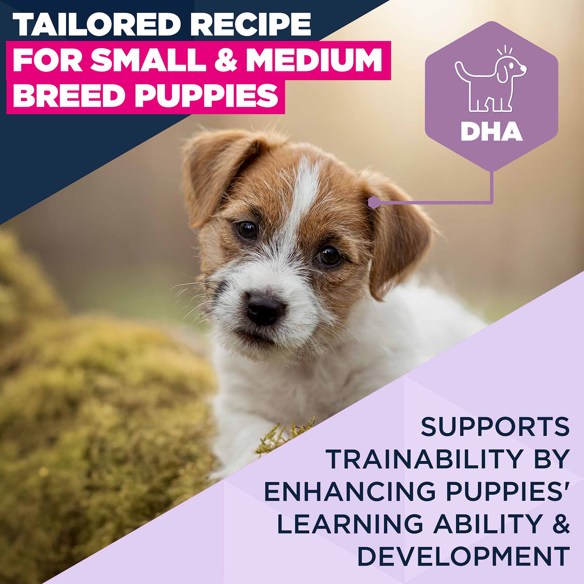 Eukanuba Small/Medium Breed Puppy Dry Dog Food - Lamb & Rice - Image 4