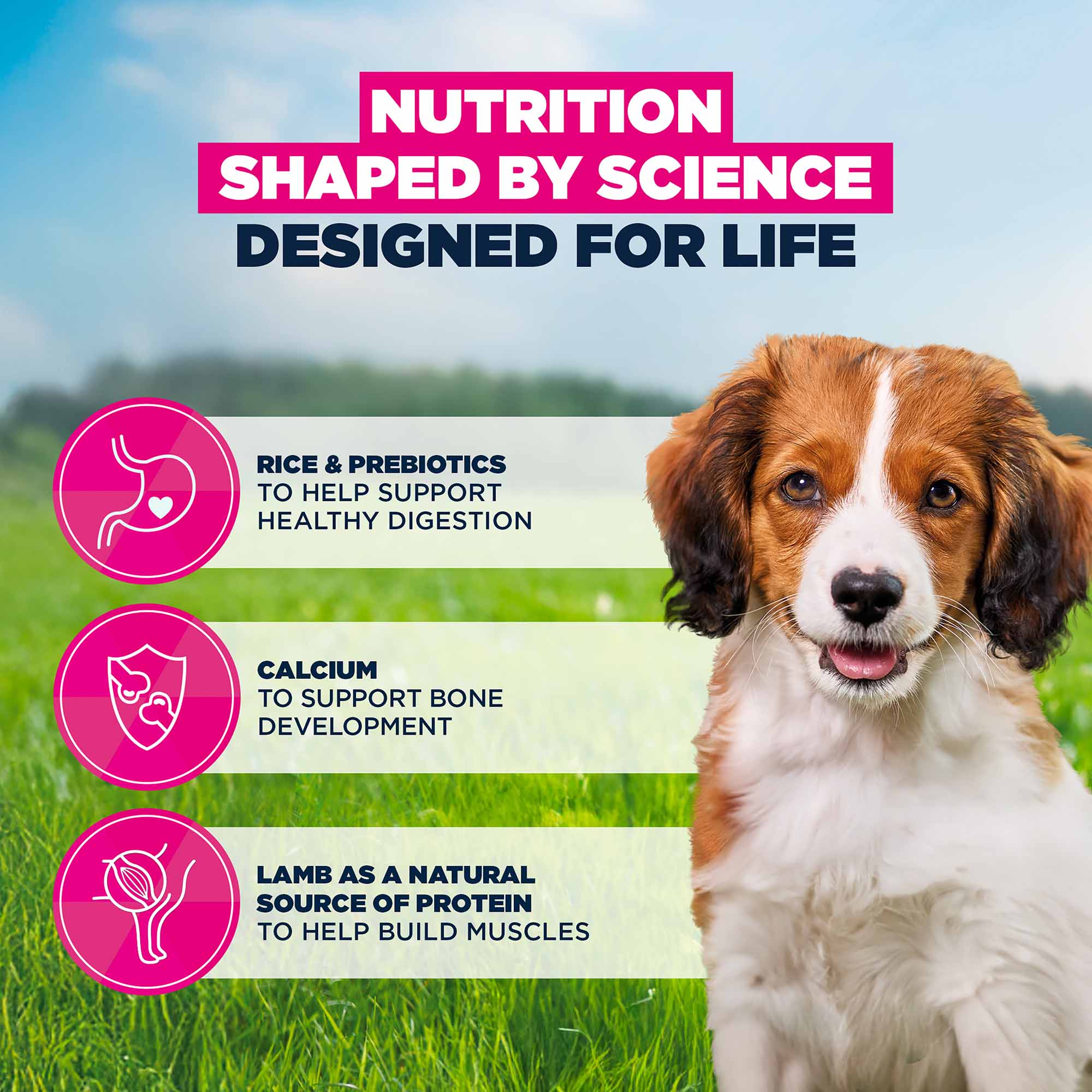 Eukanuba Small/Medium Breed Puppy Dry Dog Food - Lamb & Rice - Image 5