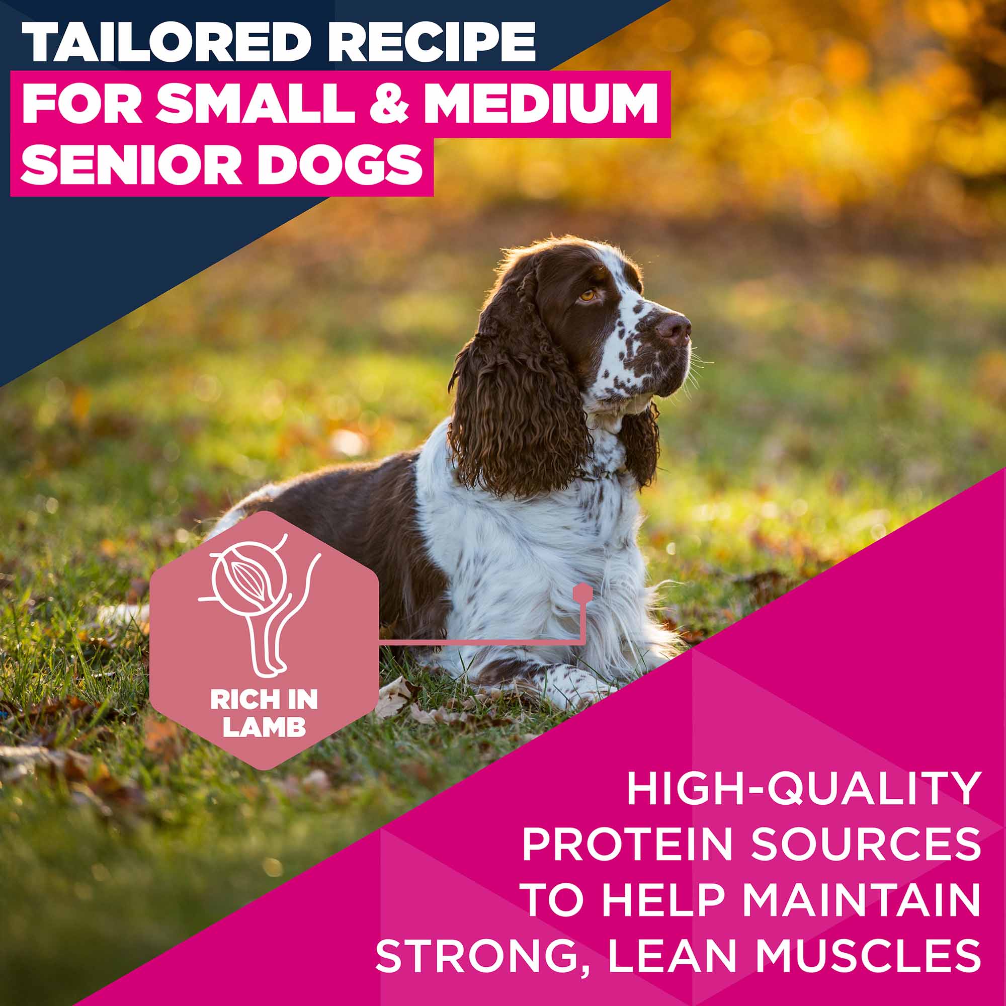 Eukanuba Small/Medium Breed Senior Dry Dog Food Lamb & Rice - Image 4