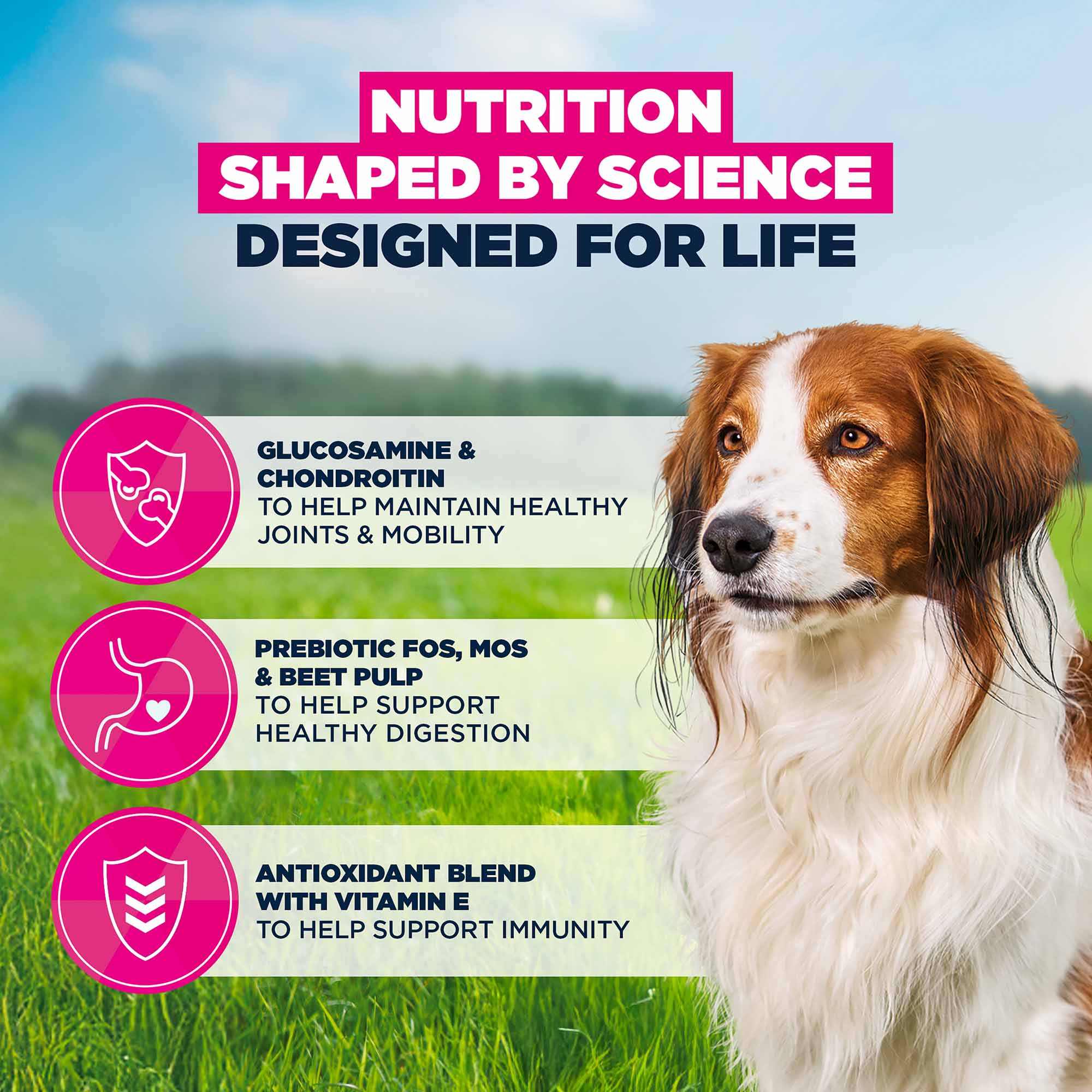 Eukanuba Small/Medium Breed Senior Dry Dog Food Lamb & Rice - Image 5