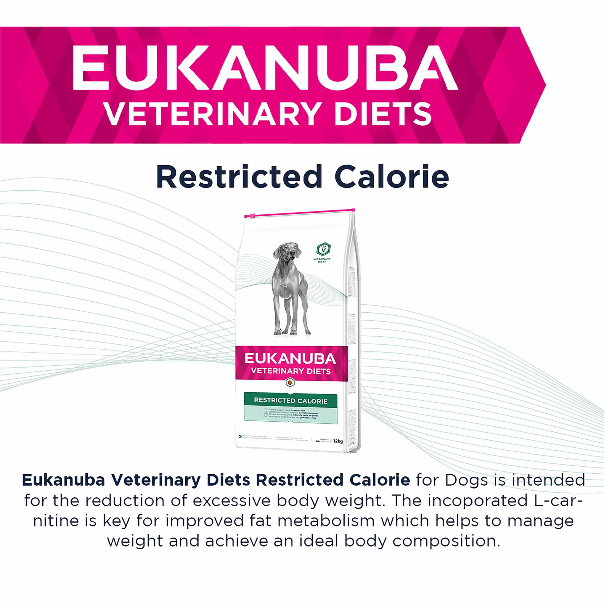 Eukanuba Veterinary Diets Restricted Calorie Adult Dry Dog Food - Image 3