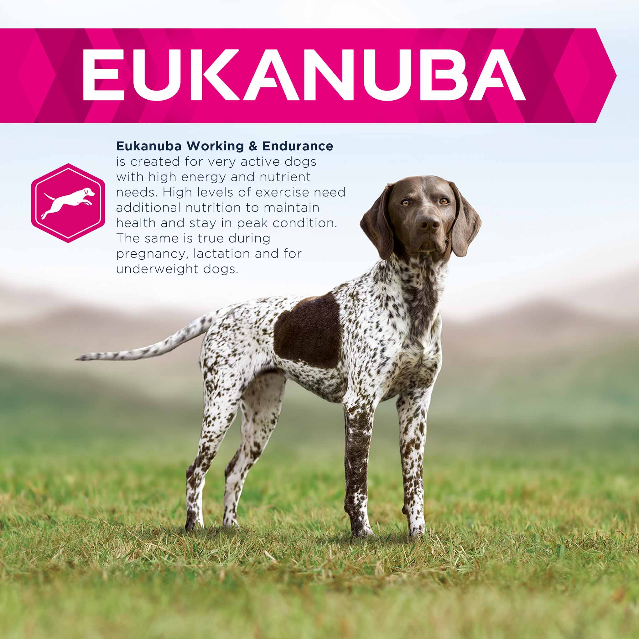 Eukanuba Working Dog Endurance Adult Dry Dog Food - Chicken - Image 3
