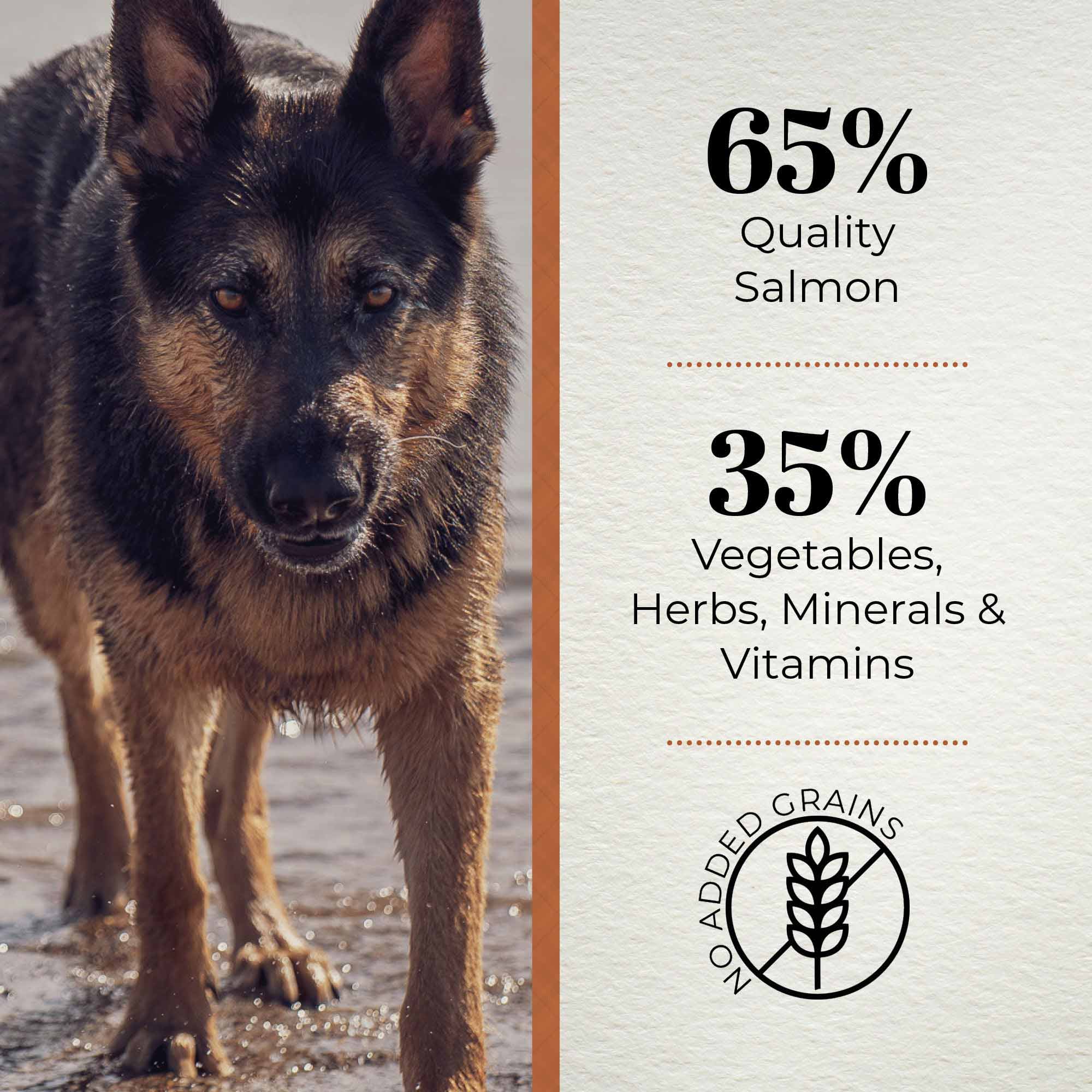 Ferguson Scottish Salmon Adult Dry Dog Food - Image 2