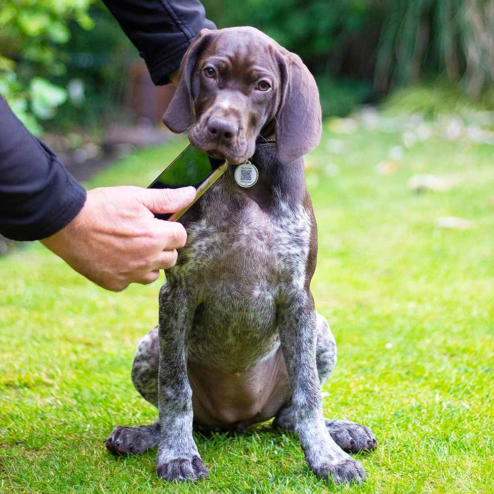 Fetch Tag - Smart Pet Tag - Image 2