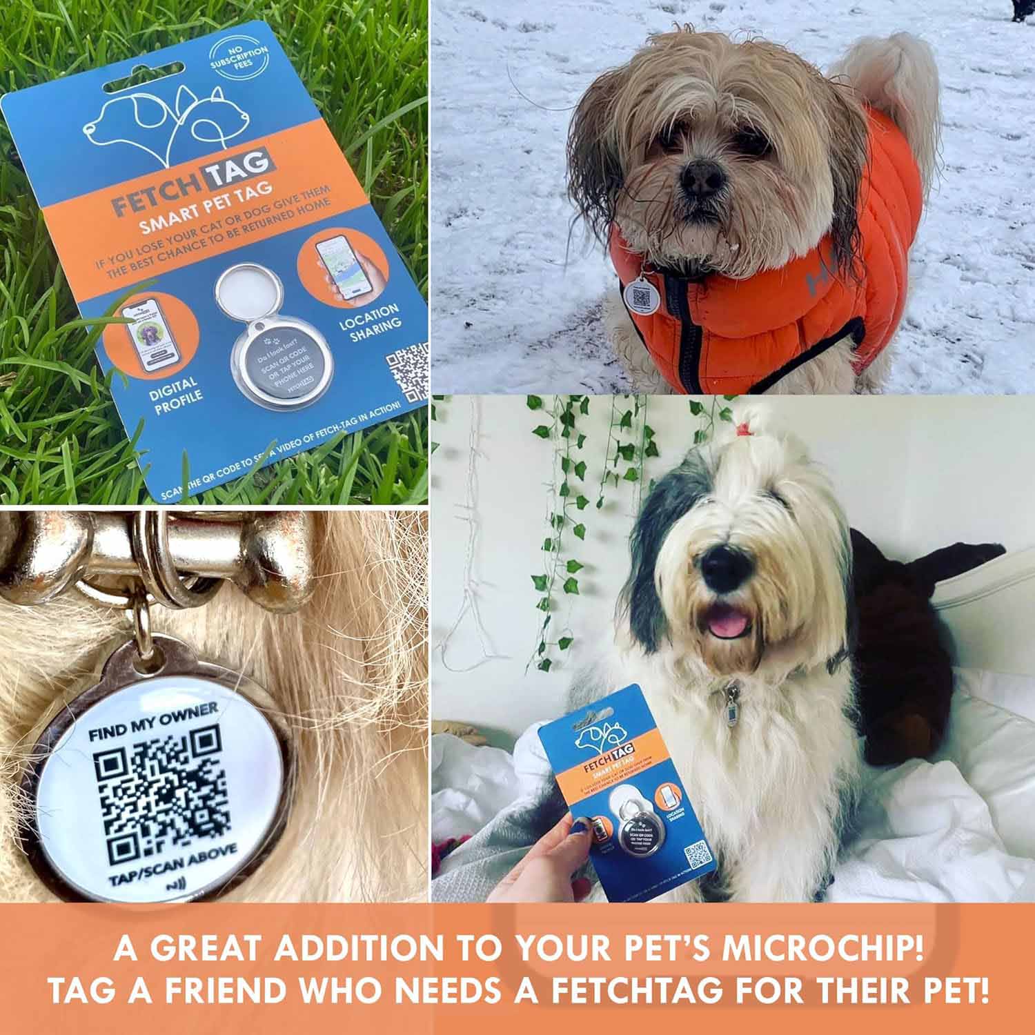 Fetch Tag - Smart Pet Tag - Image 5