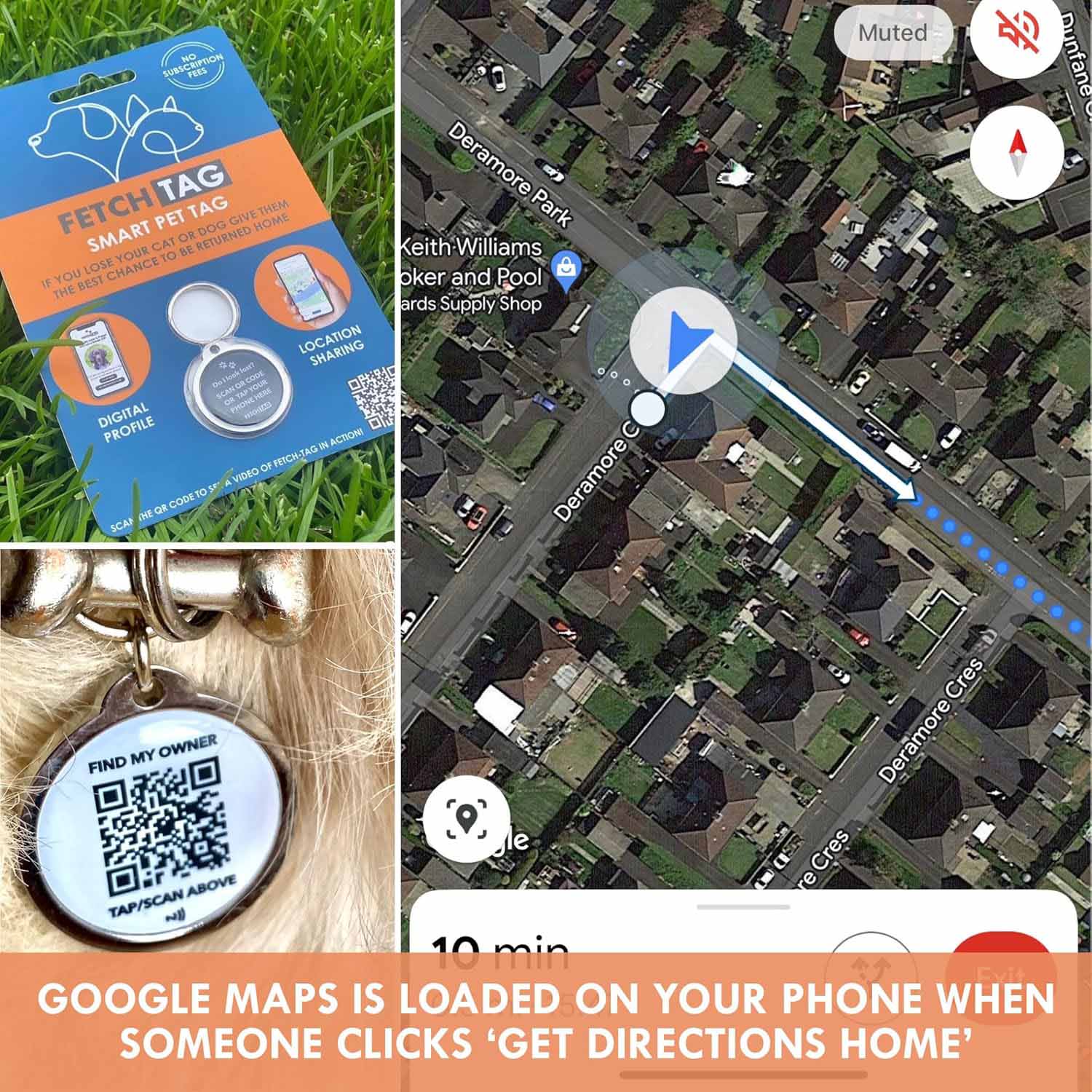Fetch Tag - Smart Pet Tag - Image 6