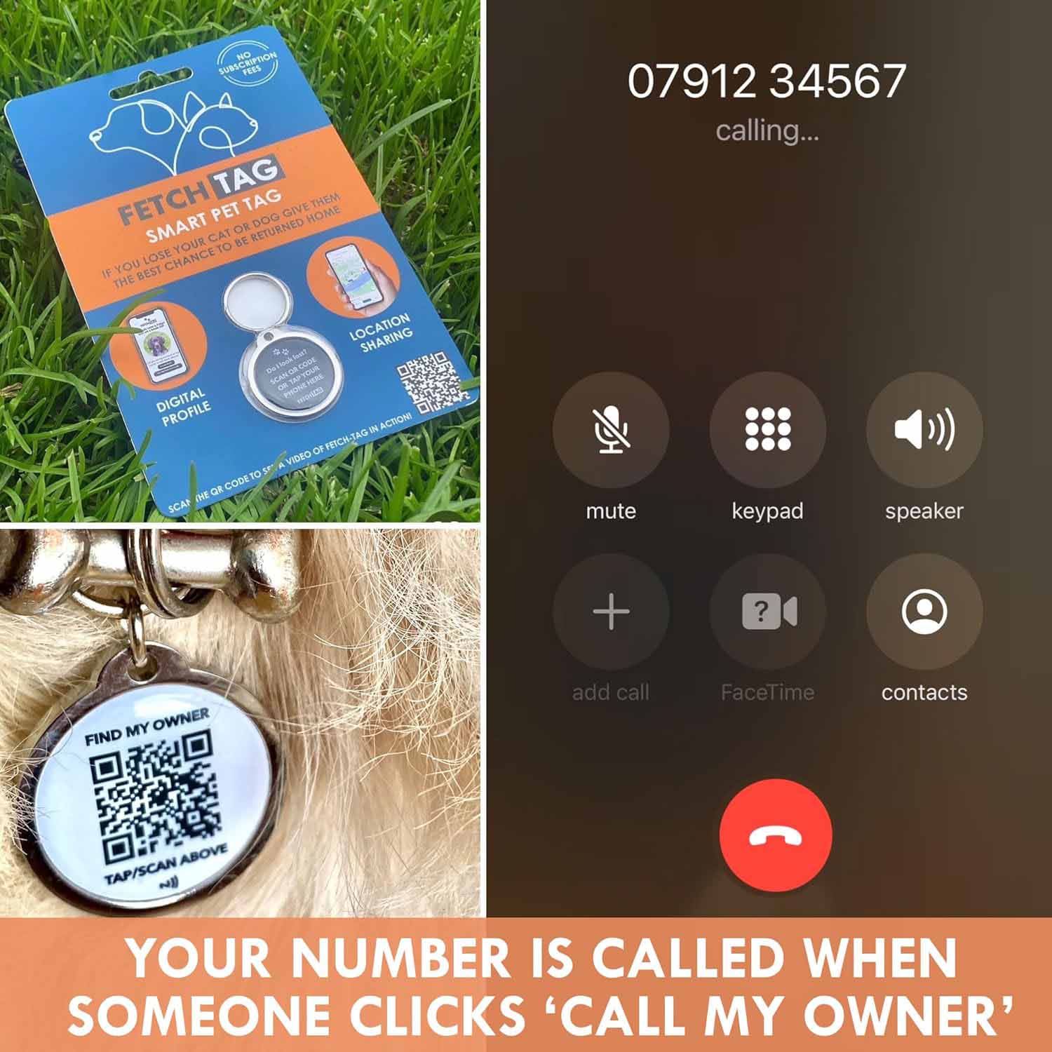 Fetch Tag - Smart Pet Tag - Image 7