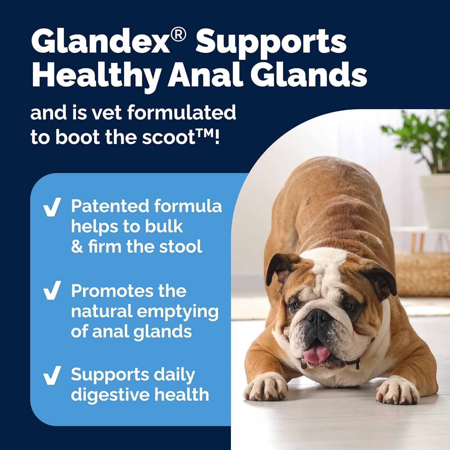 Glandex Anal Gland for Dogs - 120 Chewable Tablets - Image 4