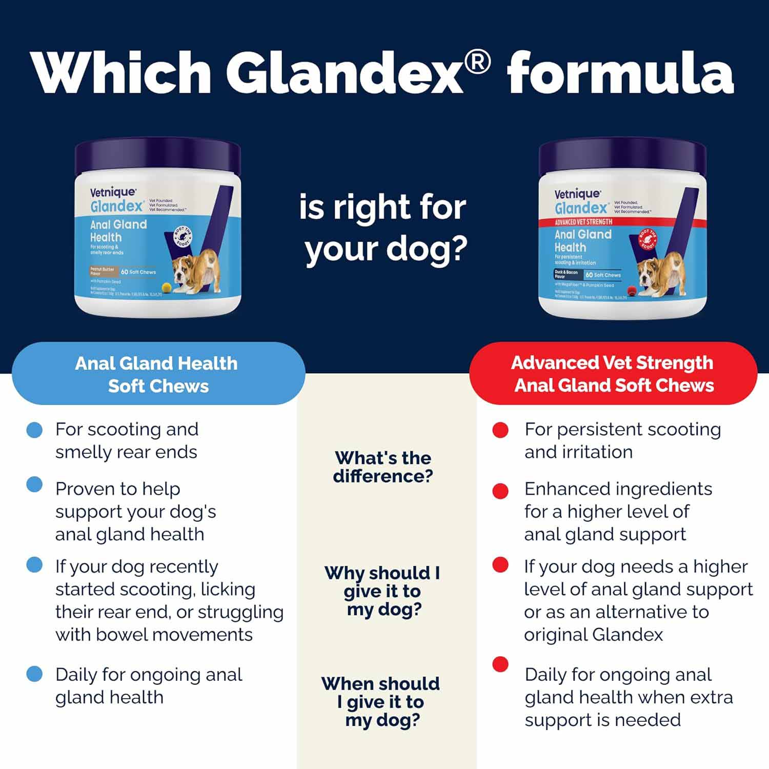 Glandex Anal Gland for Dogs - 120 Chewable Tablets - Image 7