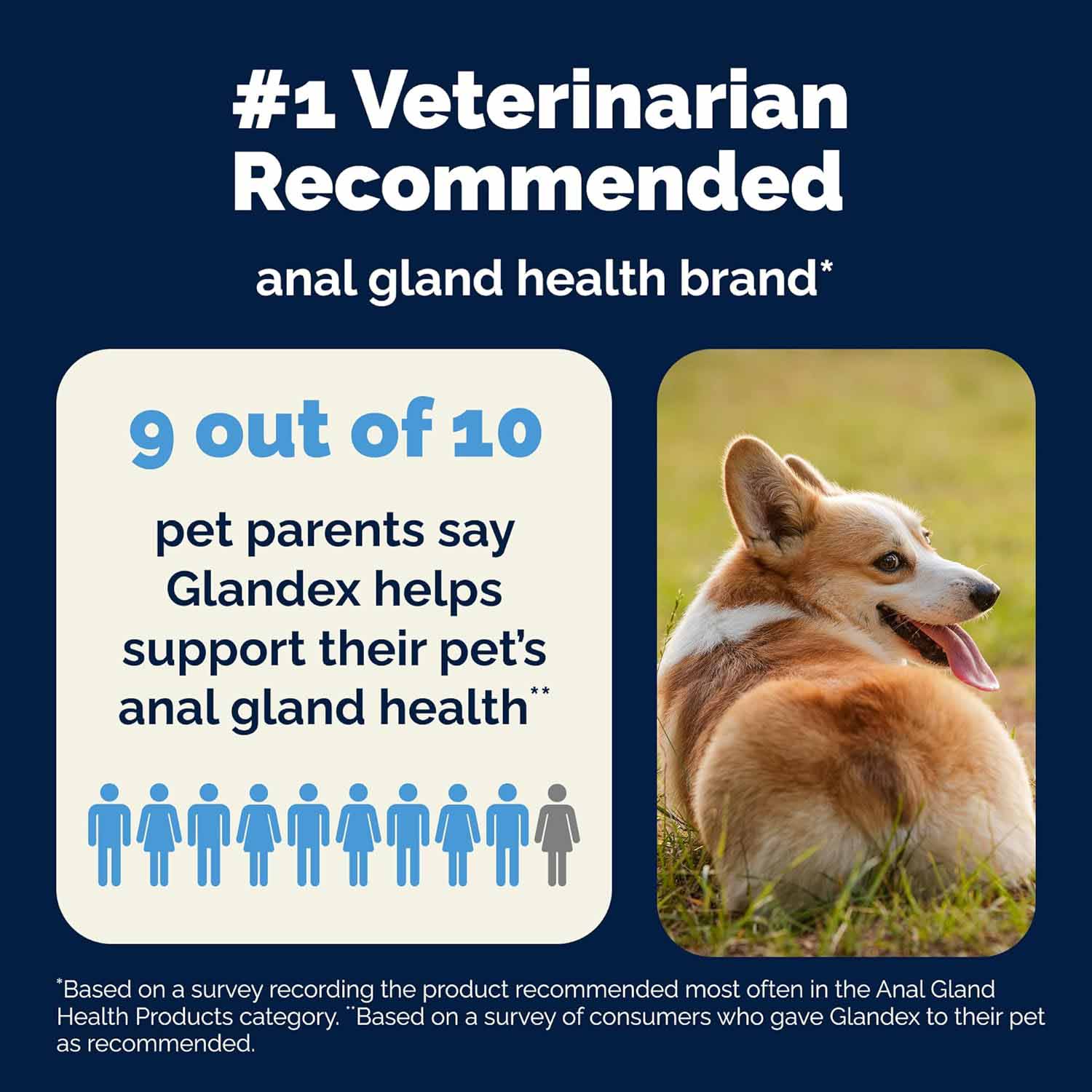 Glandex Anal Gland for Dogs - 120 Chewable Tablets - Image 8