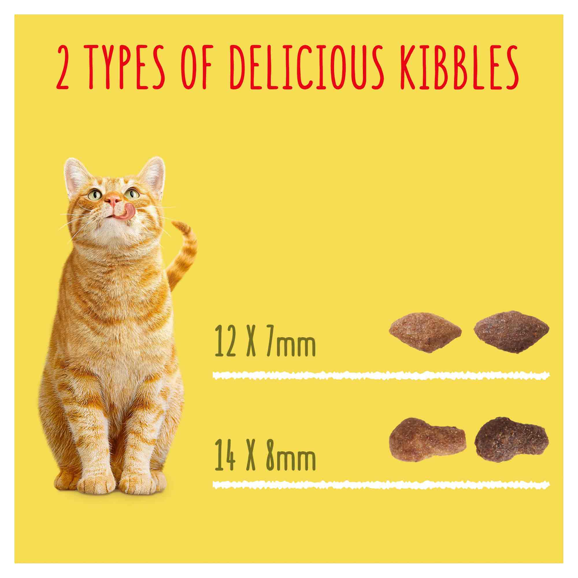 Go-Cat Adult Dry Cat Food - Chicken & Duck - Image 3
