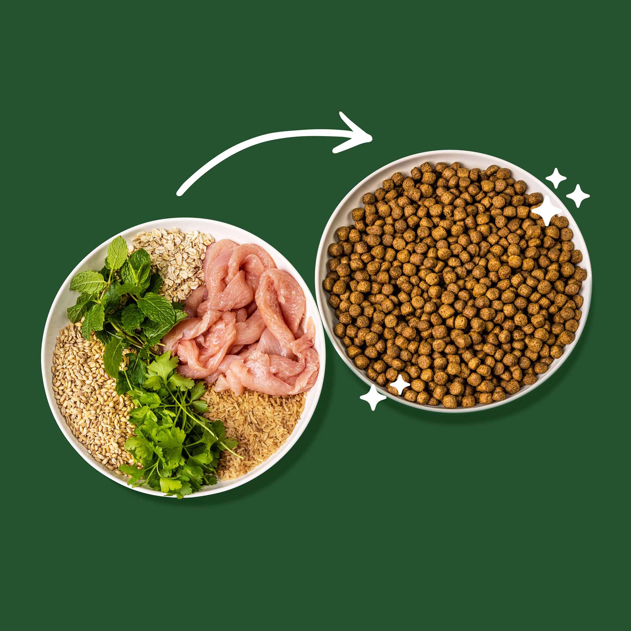 Green Pantry Dental Dry Dog Food - Turkey, Mint & Parsley - Image 4