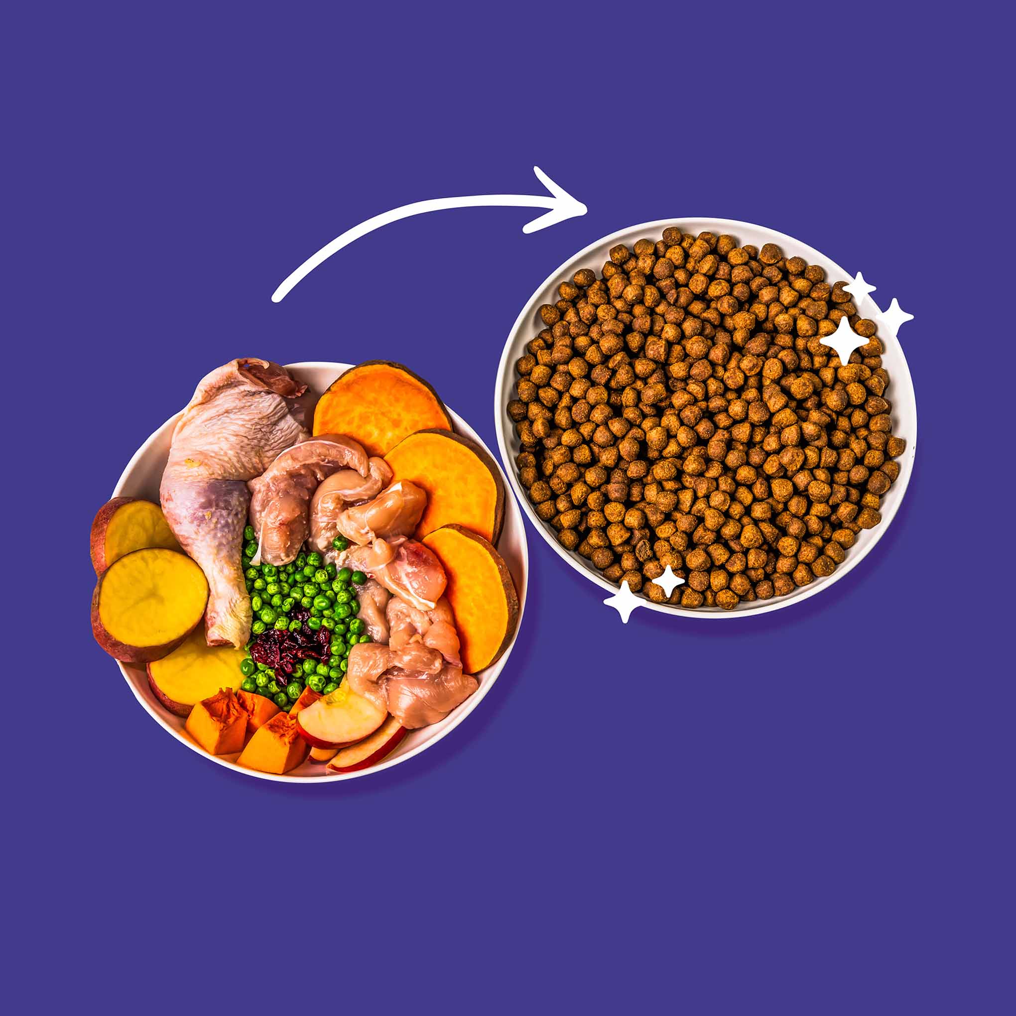 Green Pantry Skin & Coat Dry Dog Food - Chicken with Pumpkin & Apple - Image 5