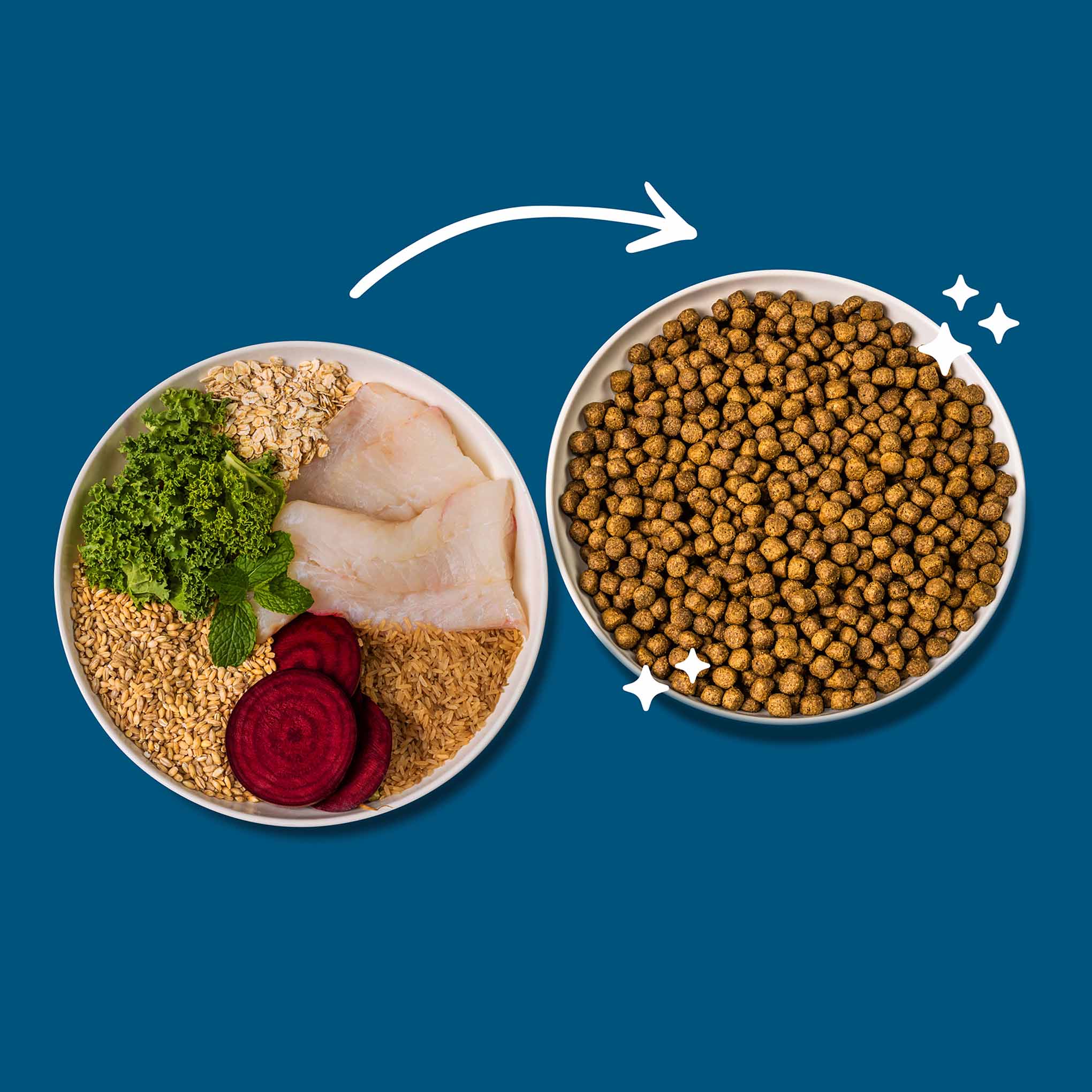 Green Pantry Weight Control Dry Dog Food - White Fish, Kale & Beetroot - Image 4
