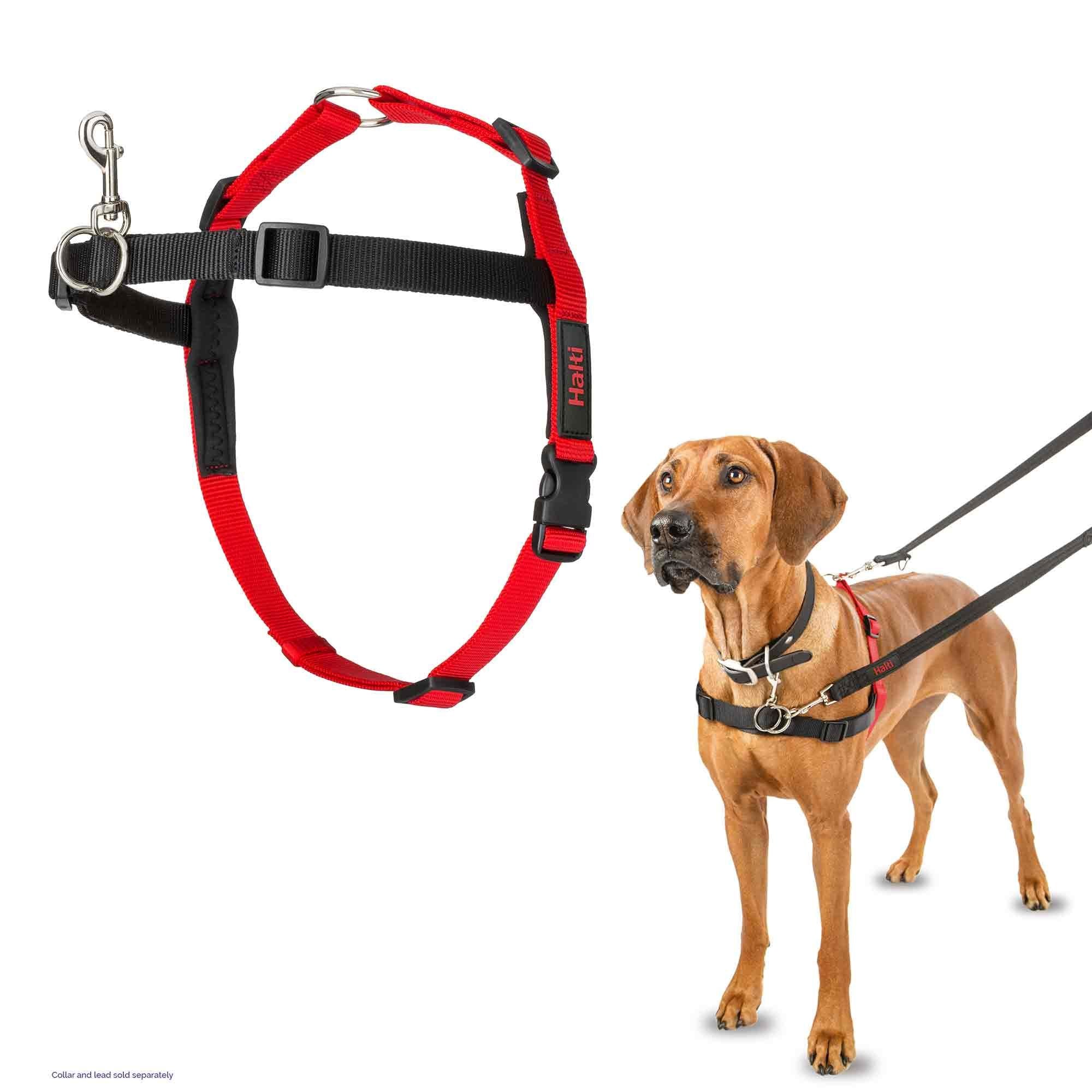 Halti Front Control Harness