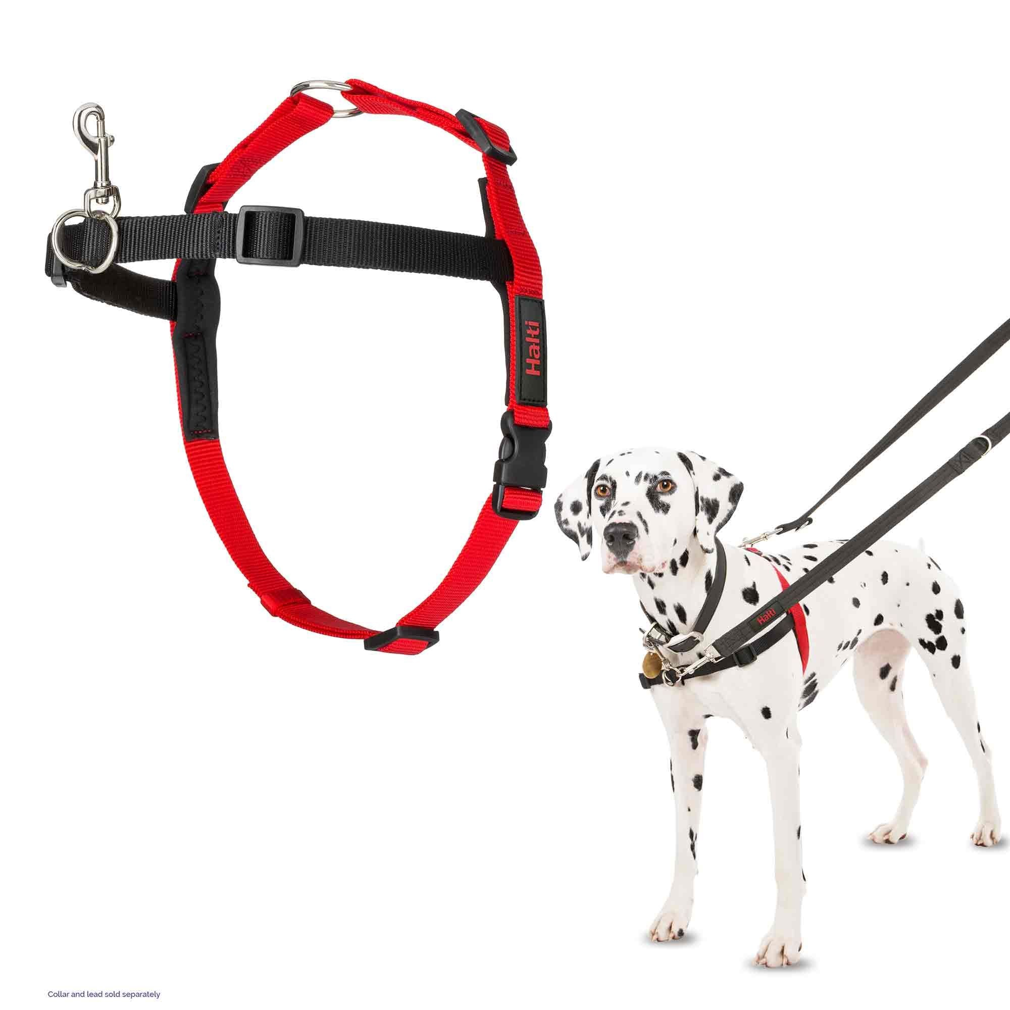 Halti Front Control Harness - Image 2
