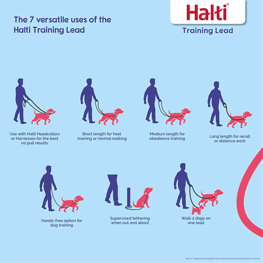 Halti Training Lead - Red - Image 3
